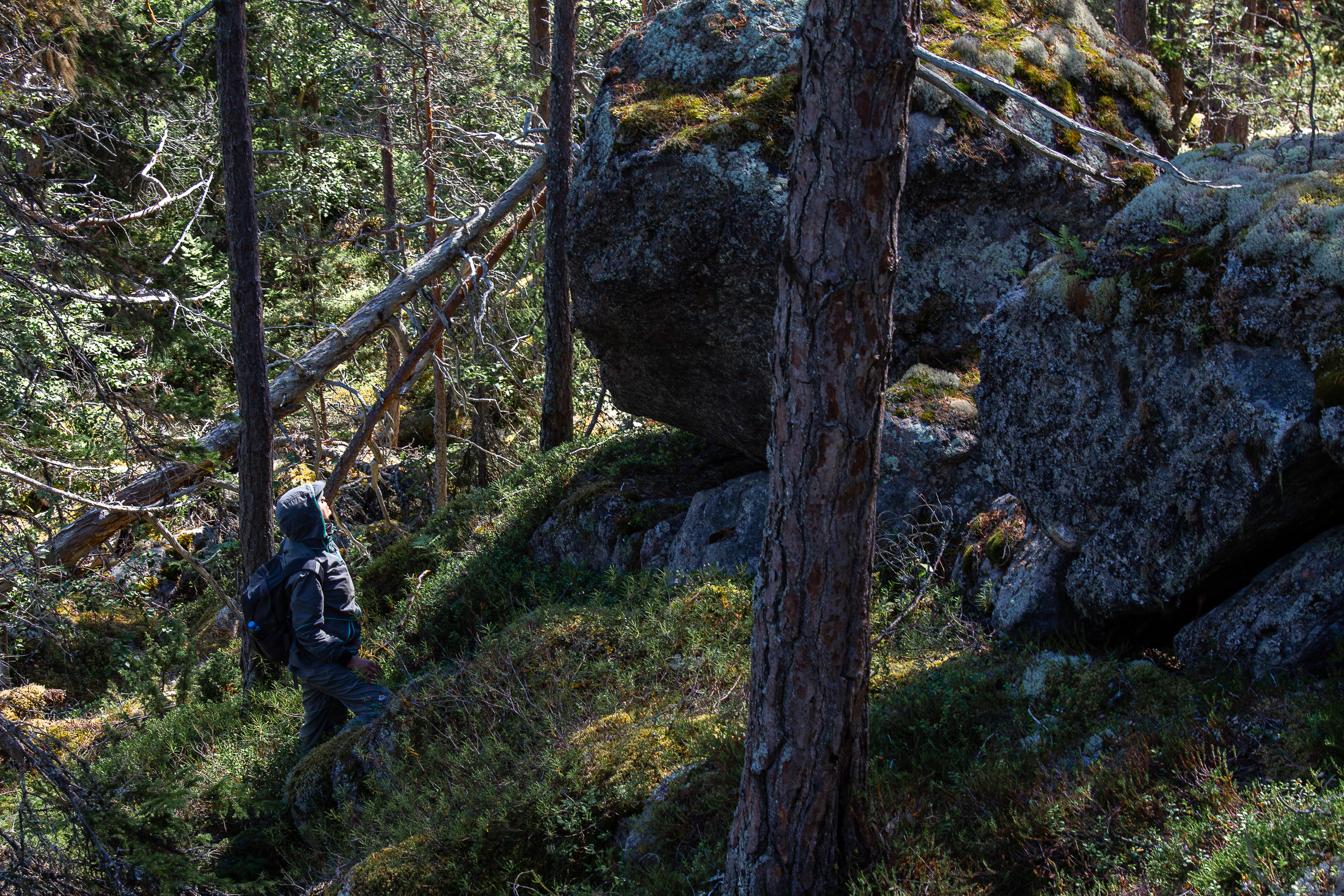 Остров Коткано́. Фотограф — путешественник Светлана Романовская