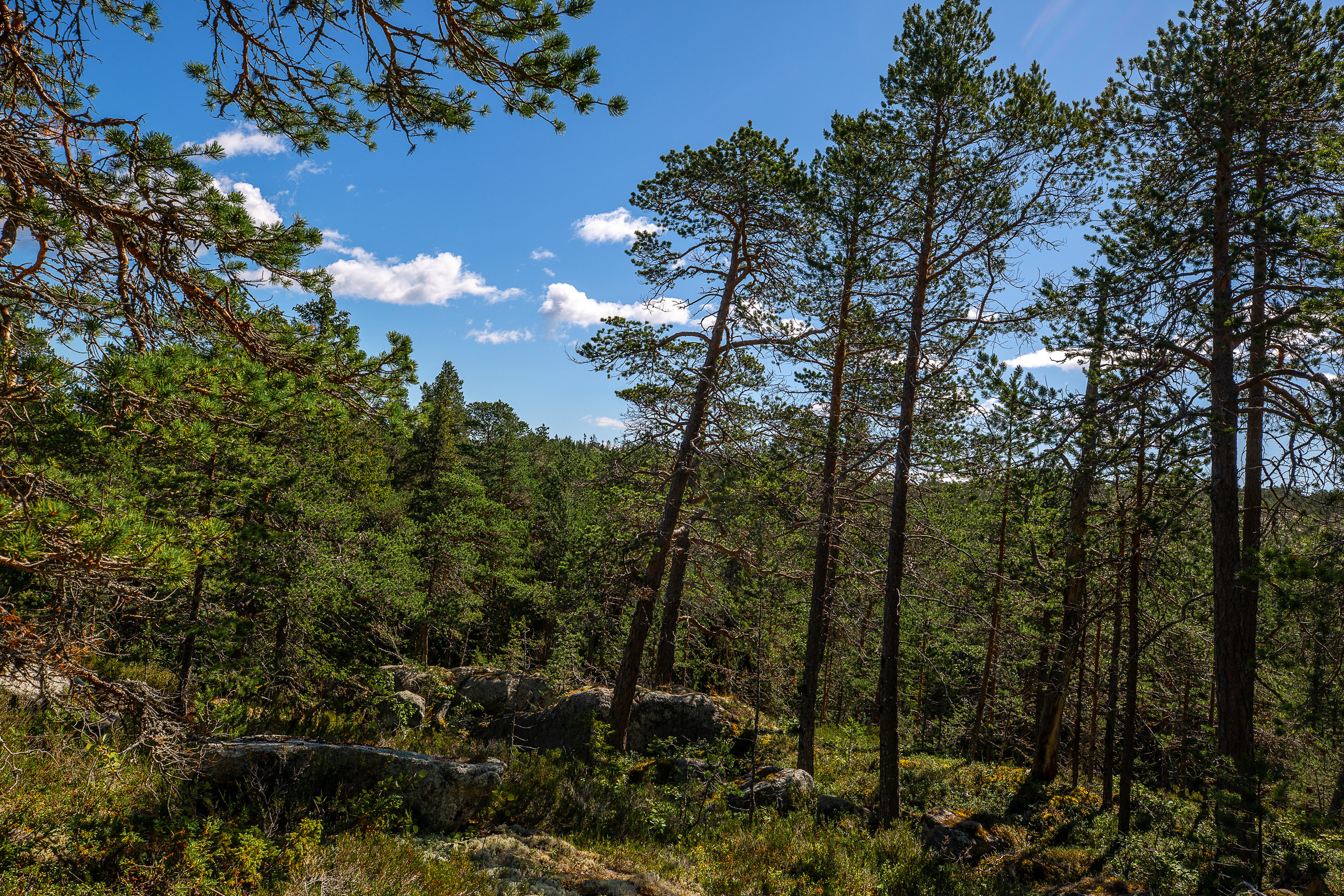 Остров Коткано́. Фотограф — путешественник Светлана Романовская