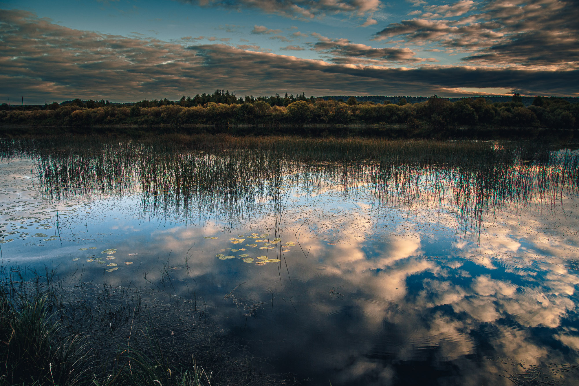 Д. Тарасонаволоцкая, Устьянский р-он, Архангельская область. Фотограф — путешественник Светлана Романовская