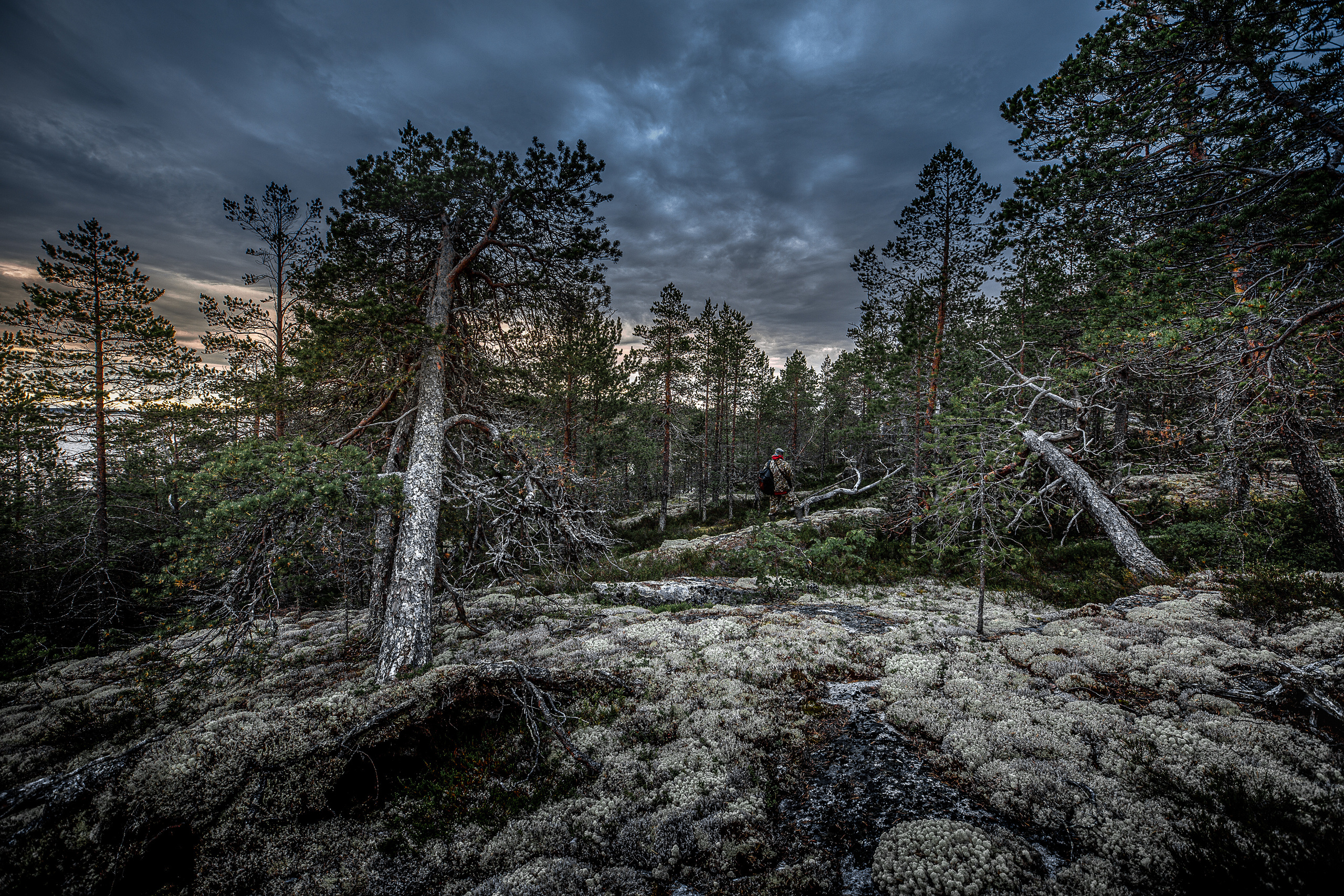 Остров Коткано́. Фотограф — путешественник Светлана Романовская