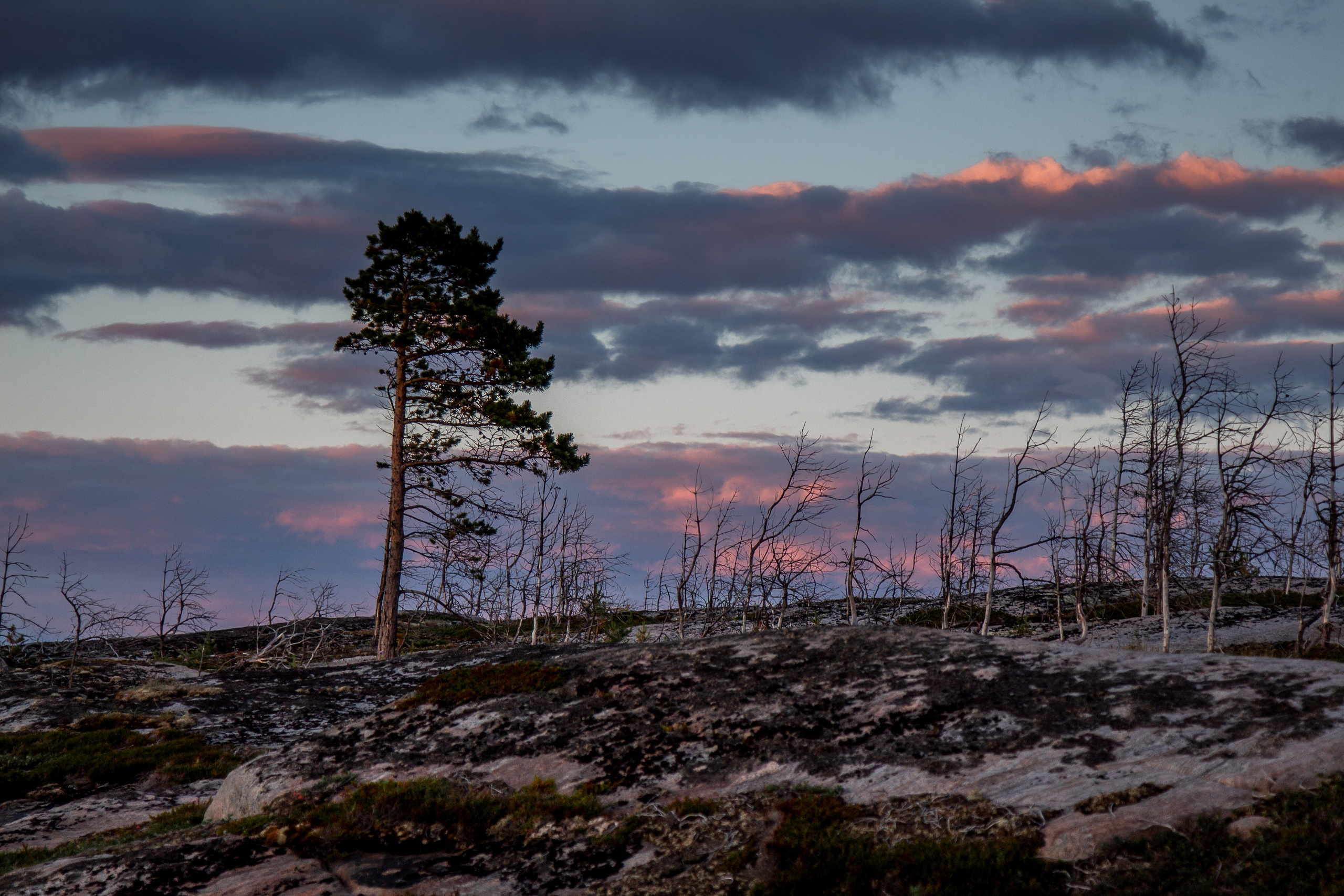 Остров Коткано́. Фотограф — путешественник Светлана Романовская
