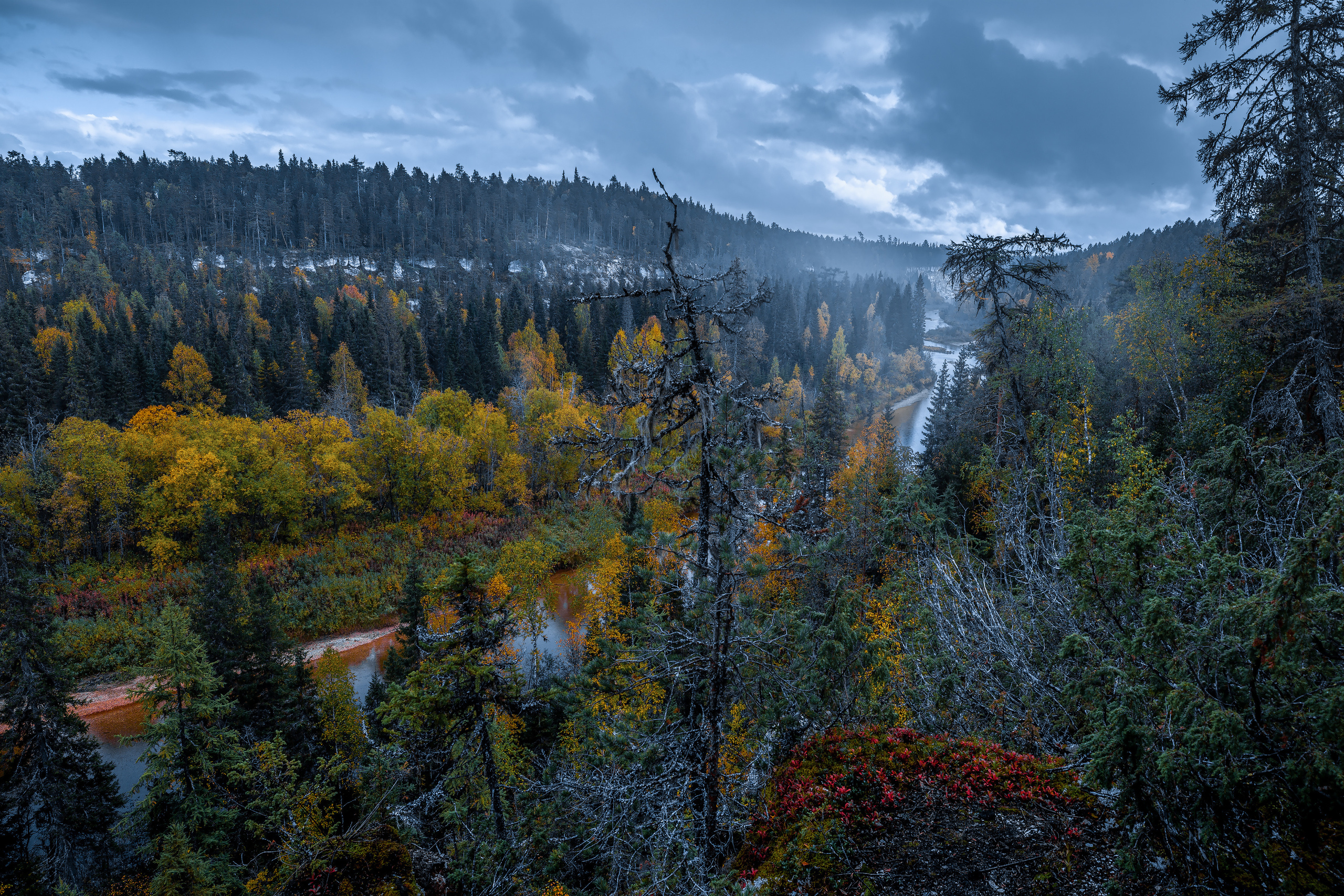 Речка Сотка Пинежский район. Фотограф — путешественник Светлана Романовская