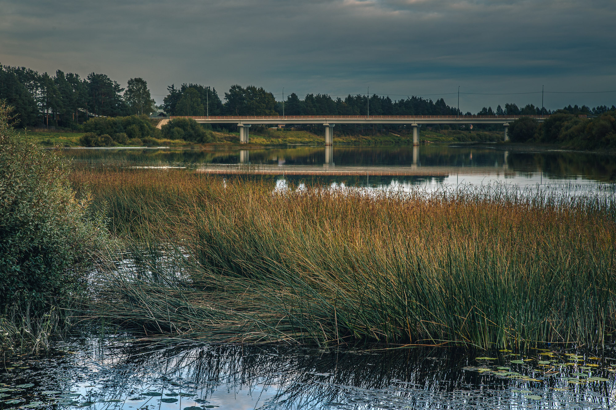 Д. Тарасонаволоцкая, Устьянский р-он, Архангельская область. Фотограф — путешественник Светлана Романовская