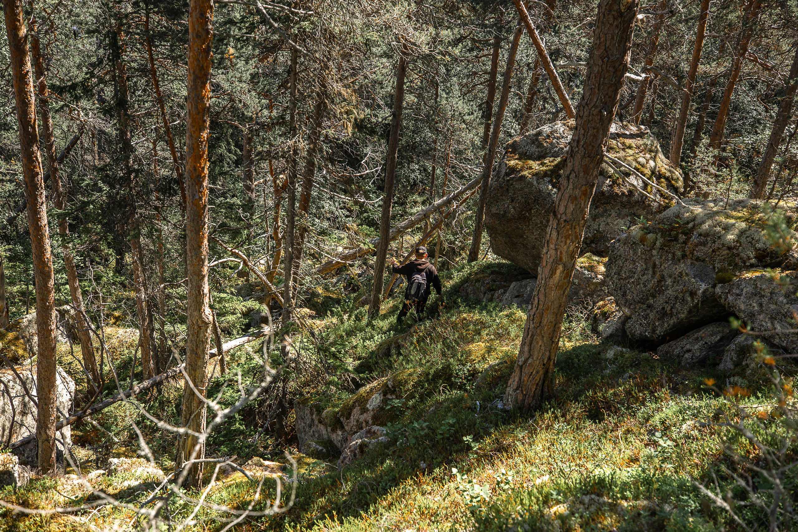 Остров Коткано́. Фотограф — путешественник Светлана Романовская