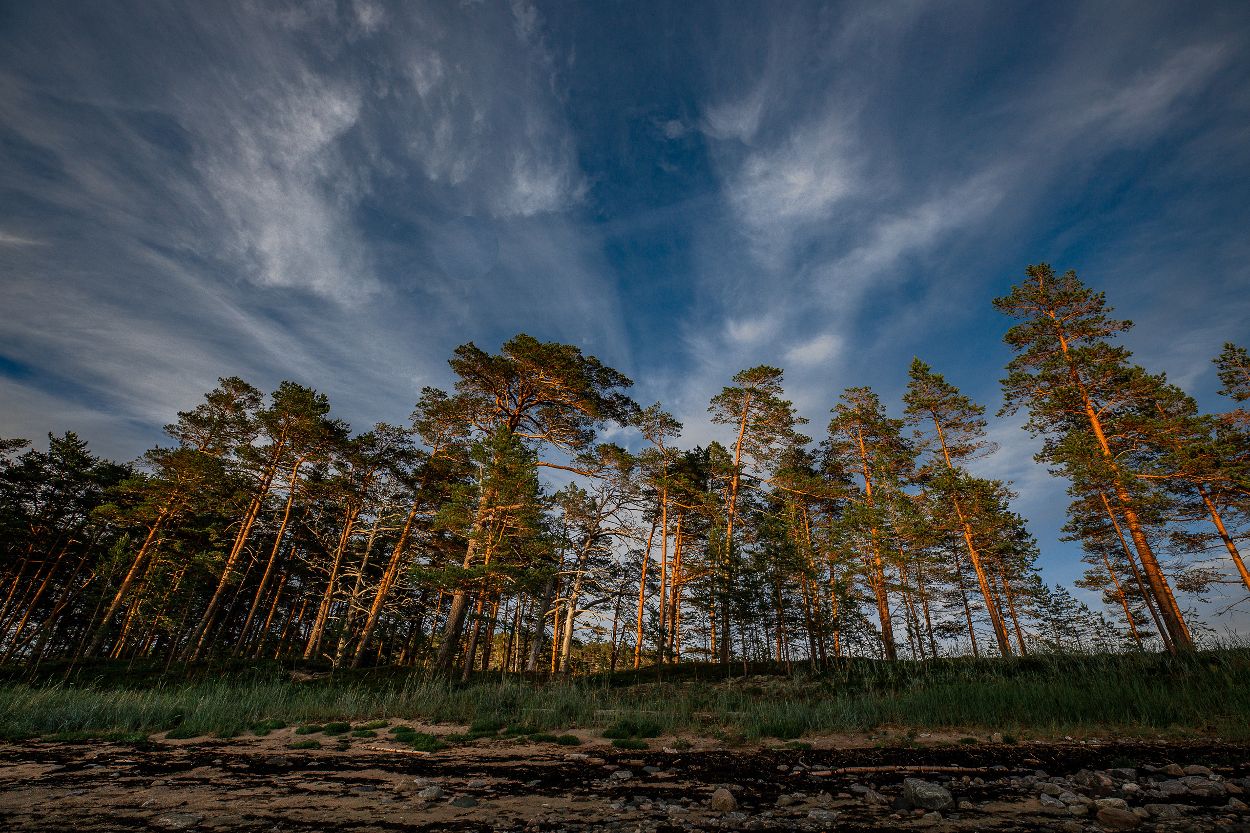 Остров Коткано́. Фотограф — путешественник Светлана Романовская