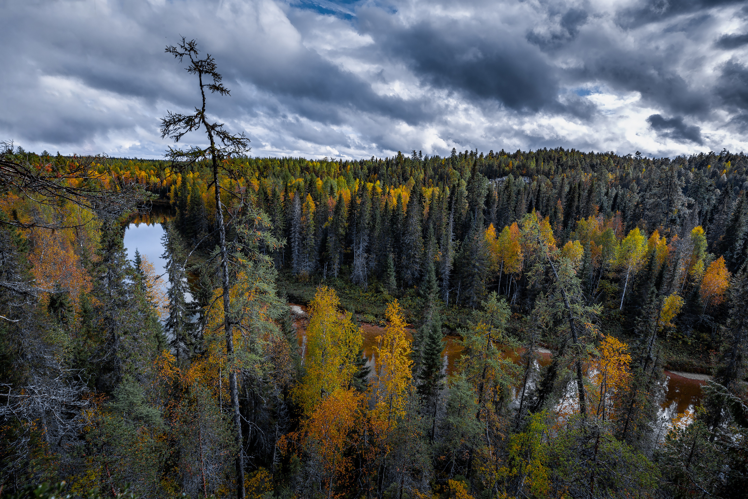 Речка Сотка Пинежский район. Фотограф — путешественник Светлана Романовская