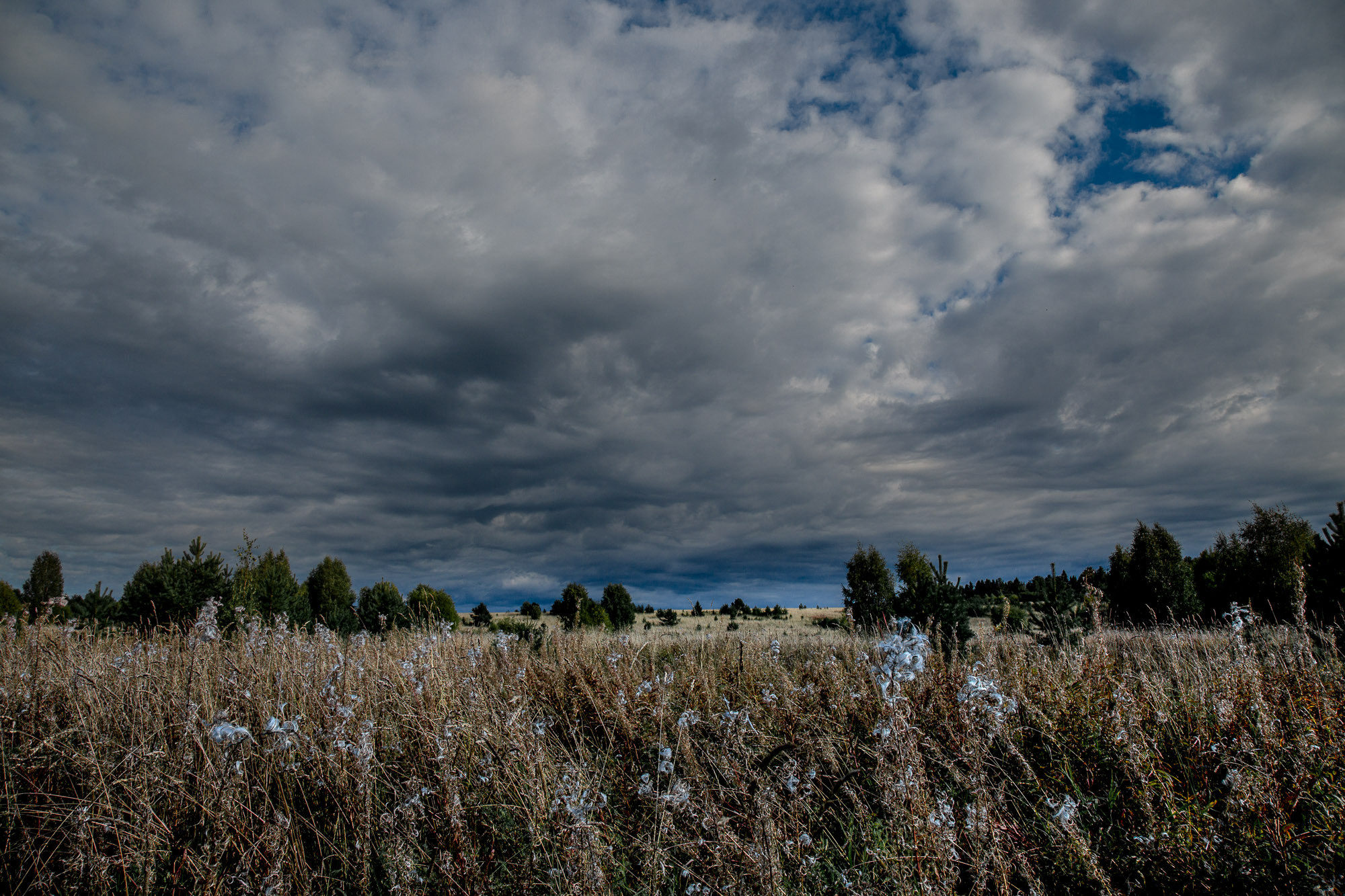 Д. Тарасонаволоцкая, Устьянский р-он, Архангельская область. Фотограф — путешественник Светлана Романовская