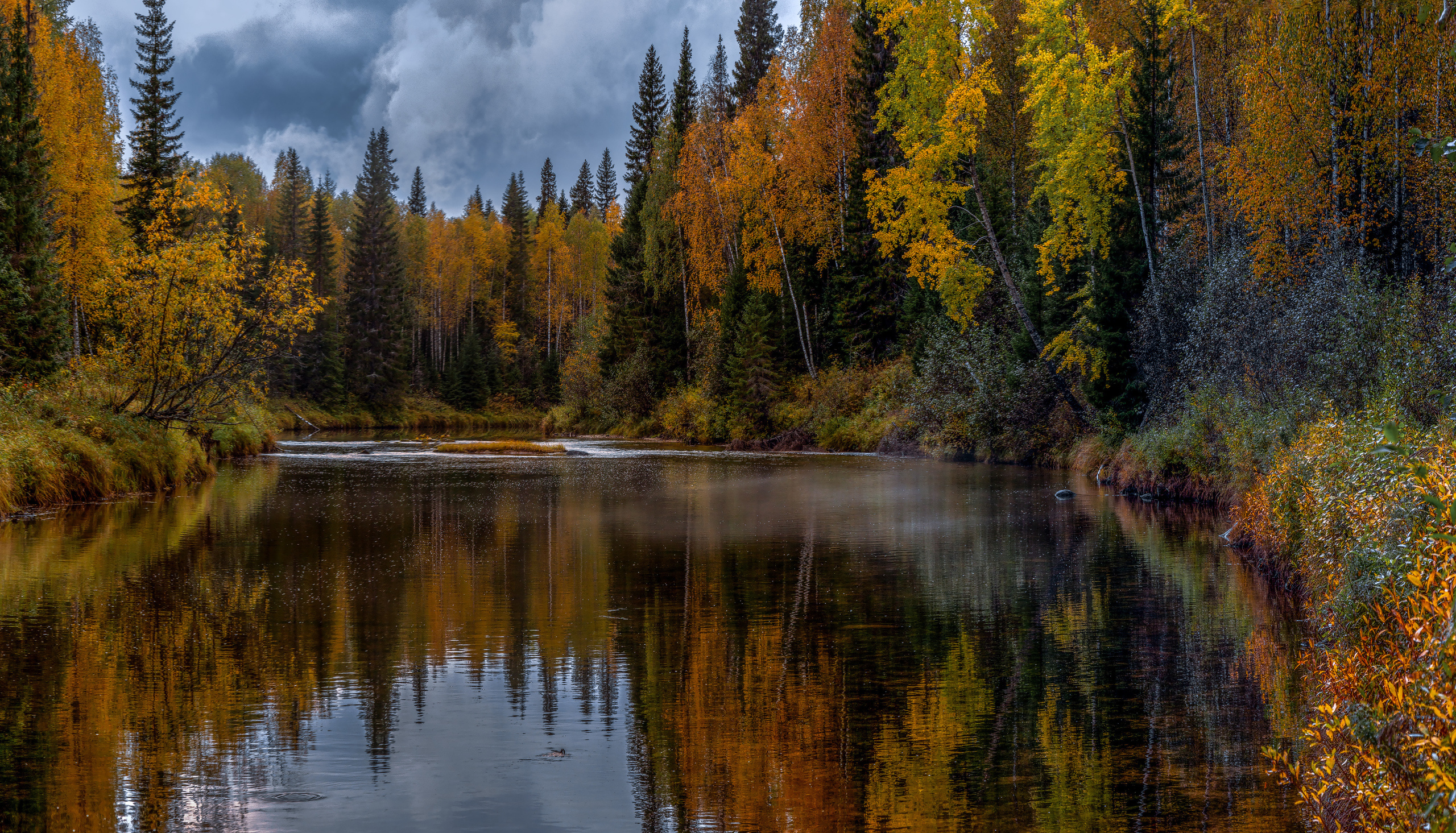 Речка Сотка Пинежский район. Фотограф — путешественник Светлана Романовская