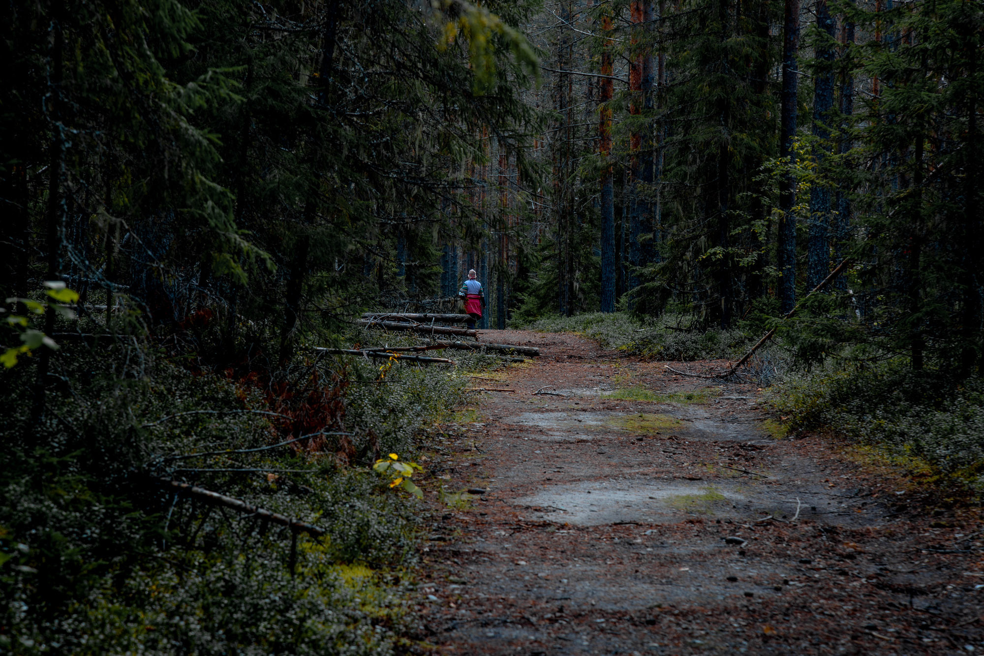 Д. Тарасонаволоцкая, Устьянский р-он, Архангельская область. Фотограф — путешественник Светлана Романовская