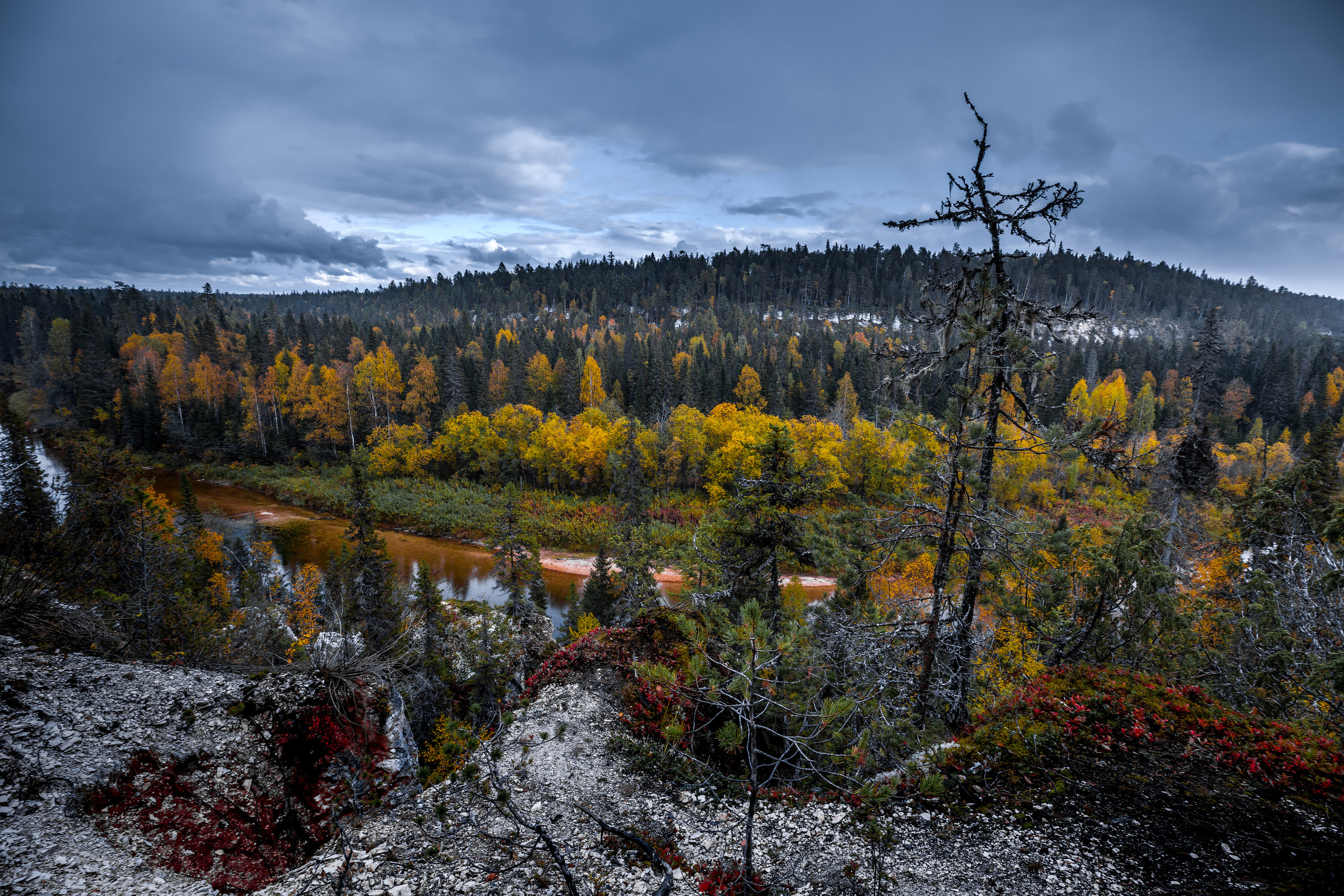 Речка Сотка Пинежский район. Фотограф — путешественник Светлана Романовская