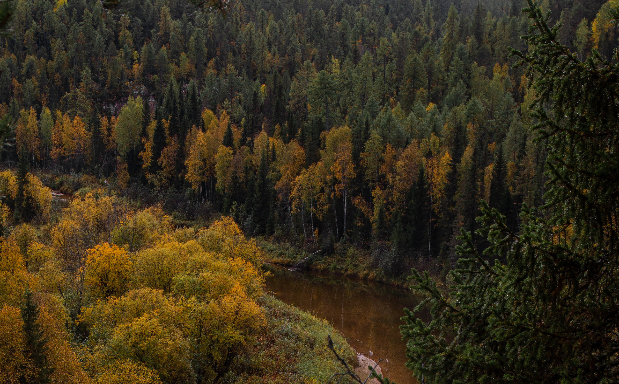 Речка Сотка Пинежский район. Фотограф — путешественник Светлана Романовская