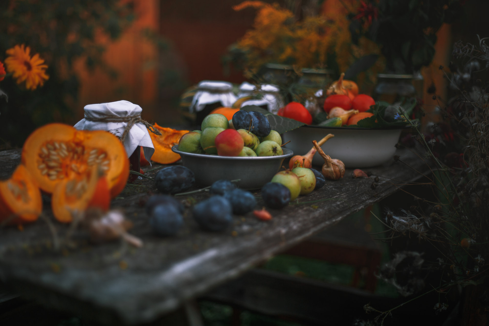 Д. Тарасонаволоцкая, Устьянский р-он, Архангельская область. Фотограф — путешественник Светлана Романовская