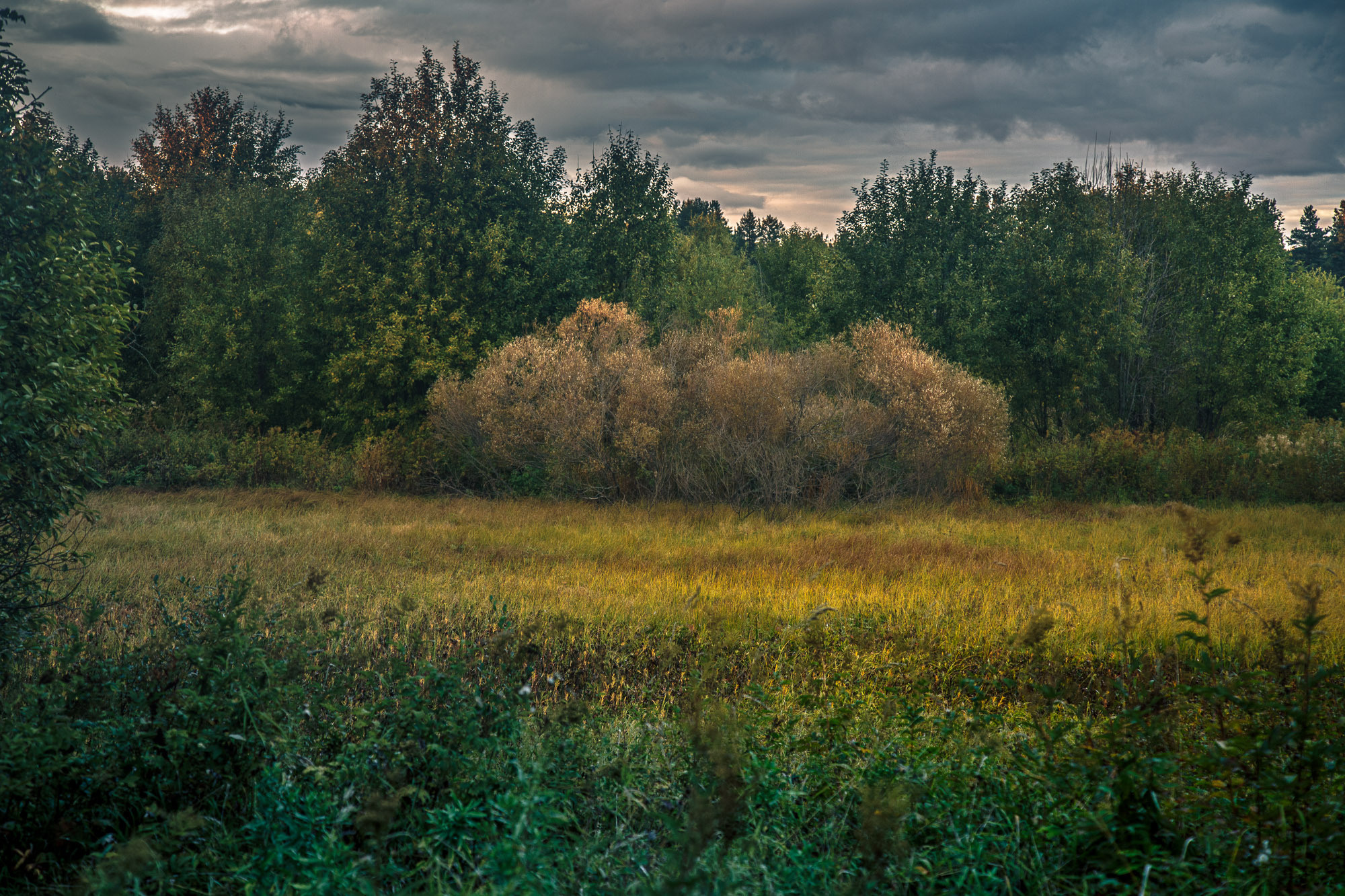Д. Тарасонаволоцкая, Устьянский р-он, Архангельская область. Фотограф — путешественник Светлана Романовская