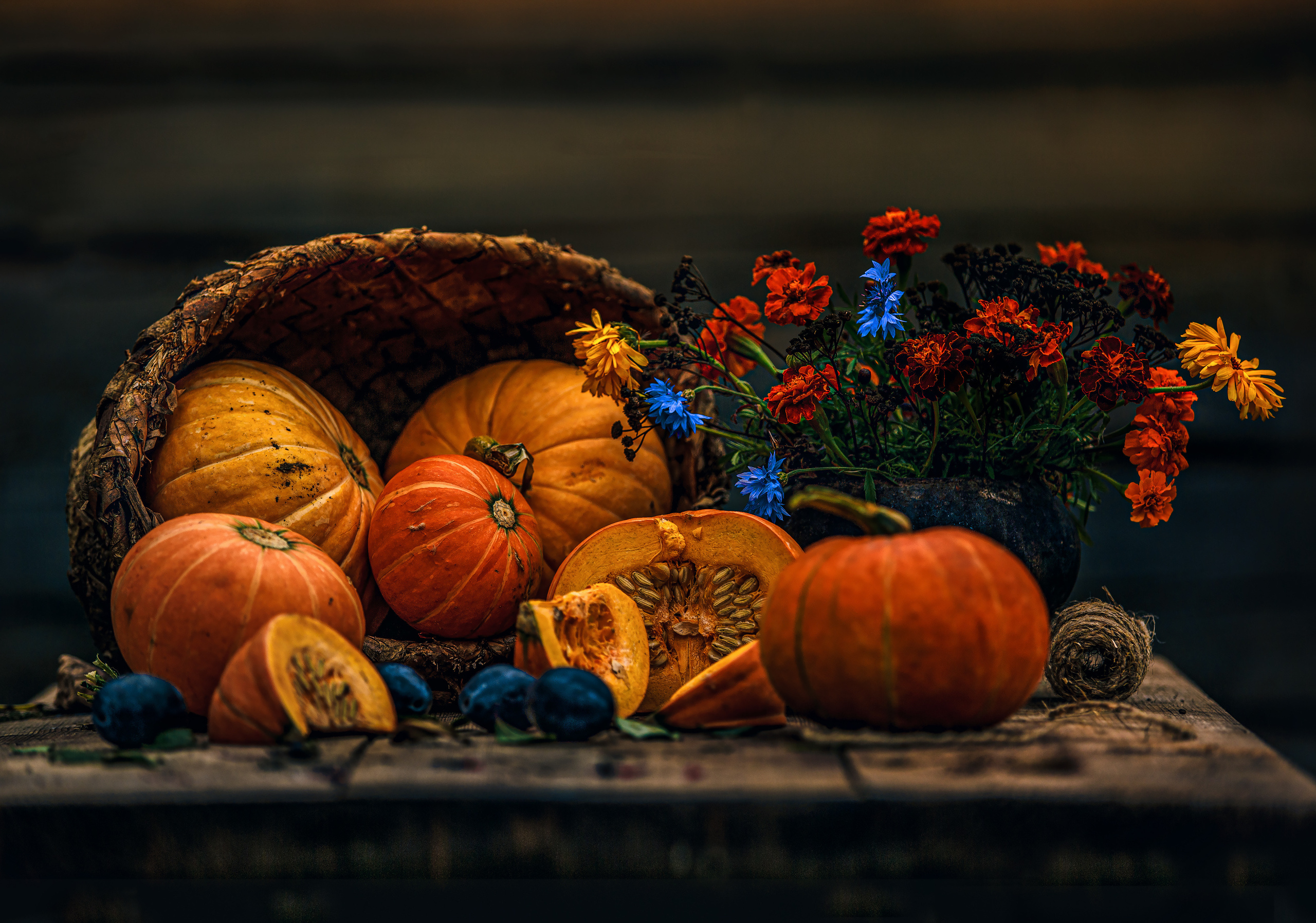 Д. Тарасонаволоцкая, Устьянский р-он, Архангельская область. Фотограф — путешественник Светлана Романовская