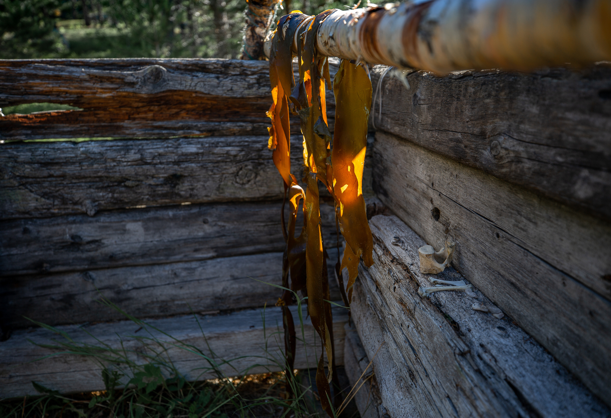 Остров Коткано́. Фотограф — путешественник Светлана Романовская