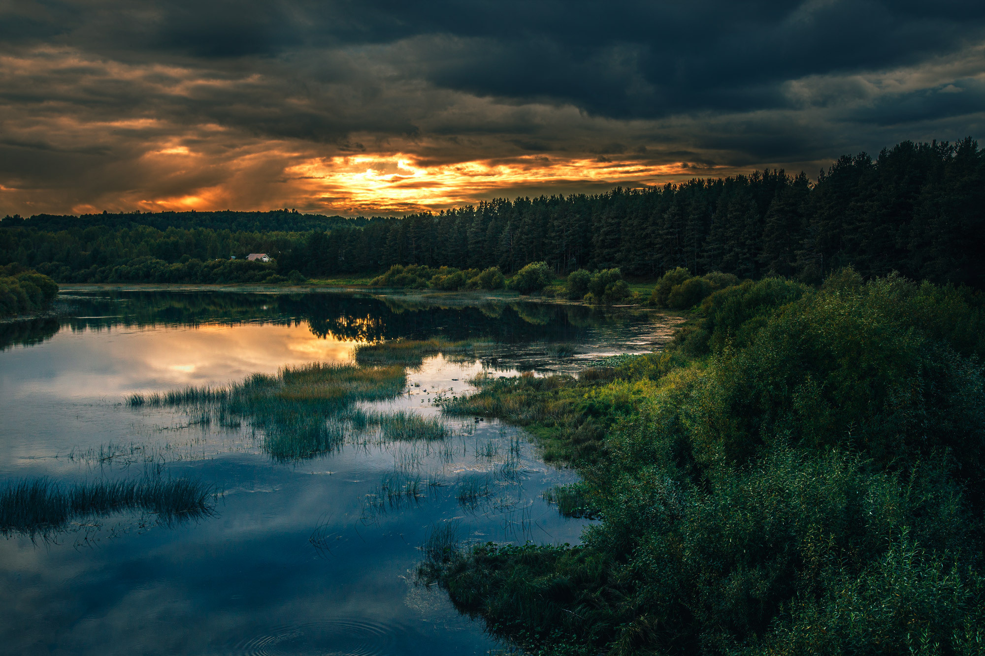 Д. Тарасонаволоцкая, Устьянский р-он, Архангельская область. Фотограф — путешественник Светлана Романовская