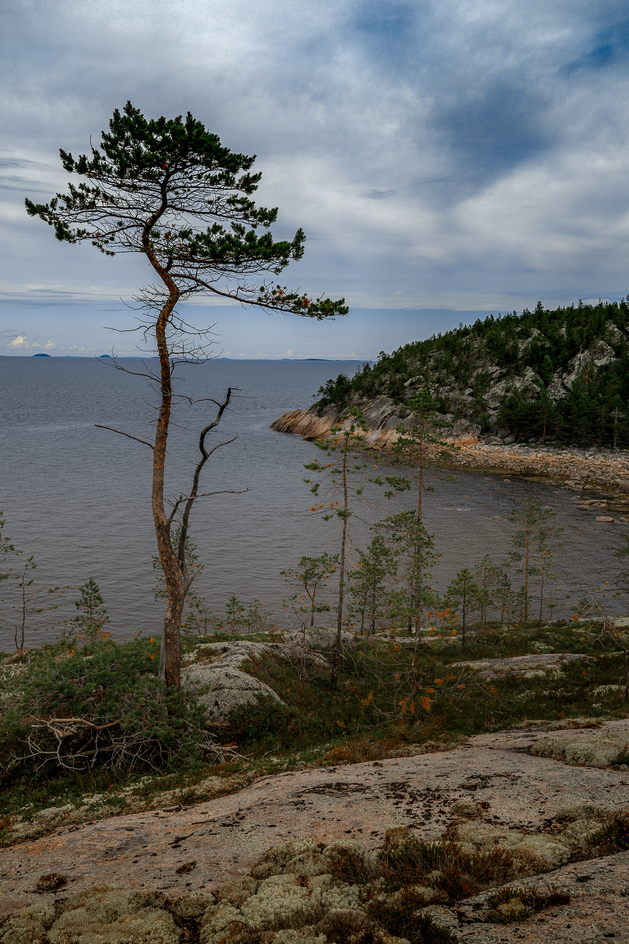 Остров Коткано́. Фотограф — путешественник Светлана Романовская