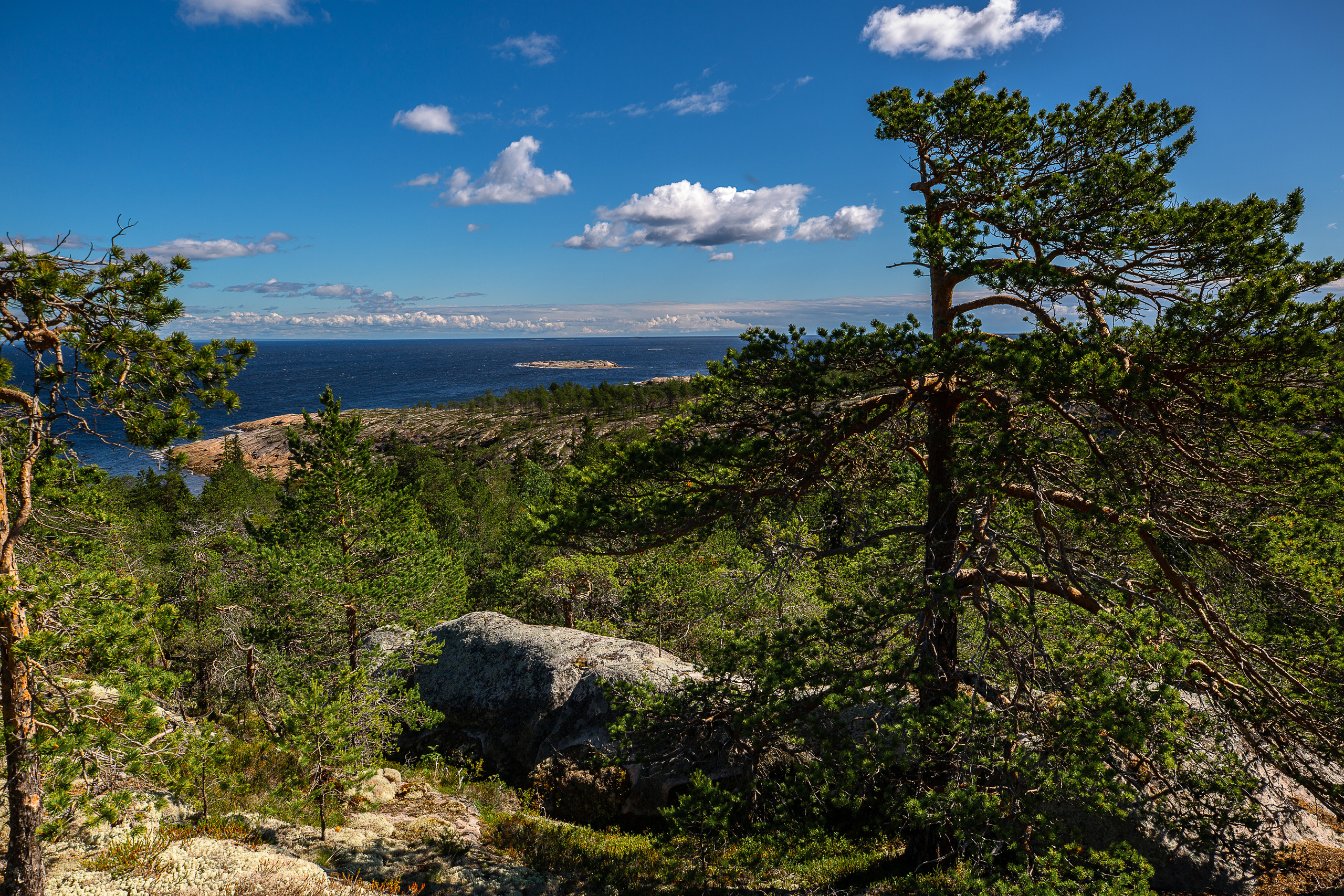 Остров Коткано́. Фотограф — путешественник Светлана Романовская