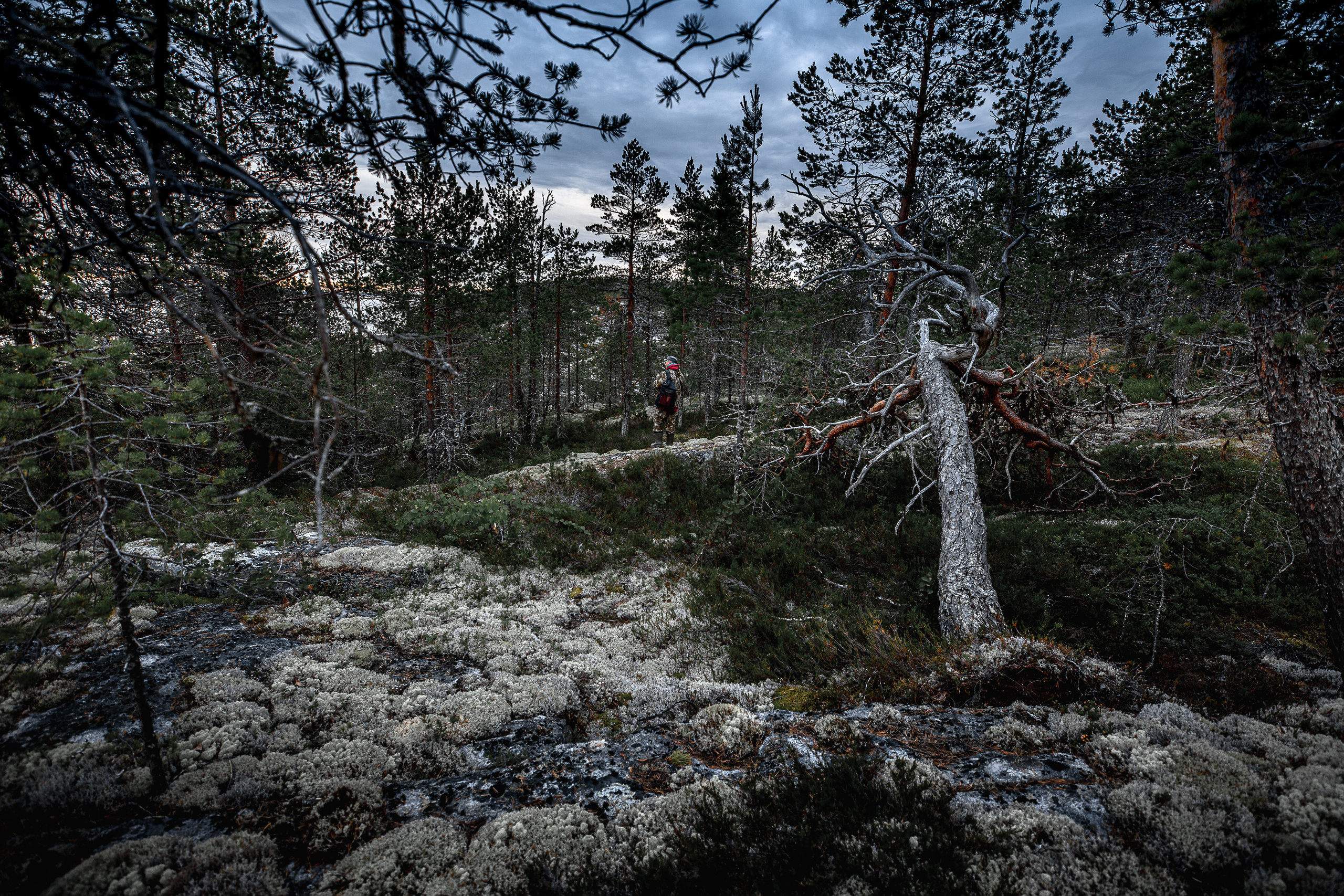 Остров Коткано́. Фотограф — путешественник Светлана Романовская