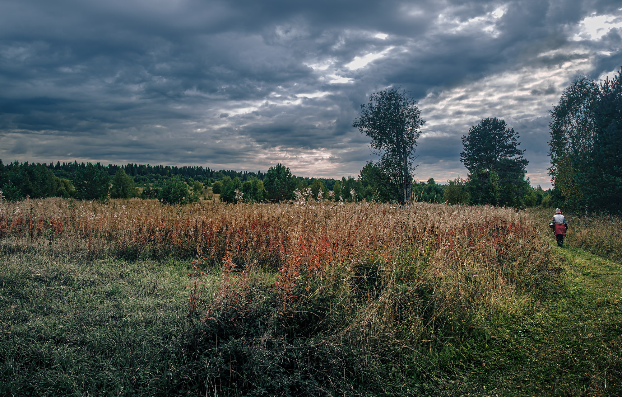 Д. Тарасонаволоцкая, Устьянский р-он, Архангельская область. Фотограф — путешественник Светлана Романовская