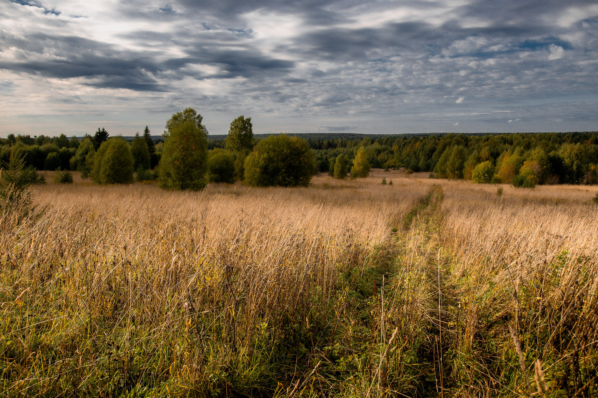 Д. Тарасонаволоцкая, Устьянский р-он, Архангельская область. Фотограф — путешественник Светлана Романовская