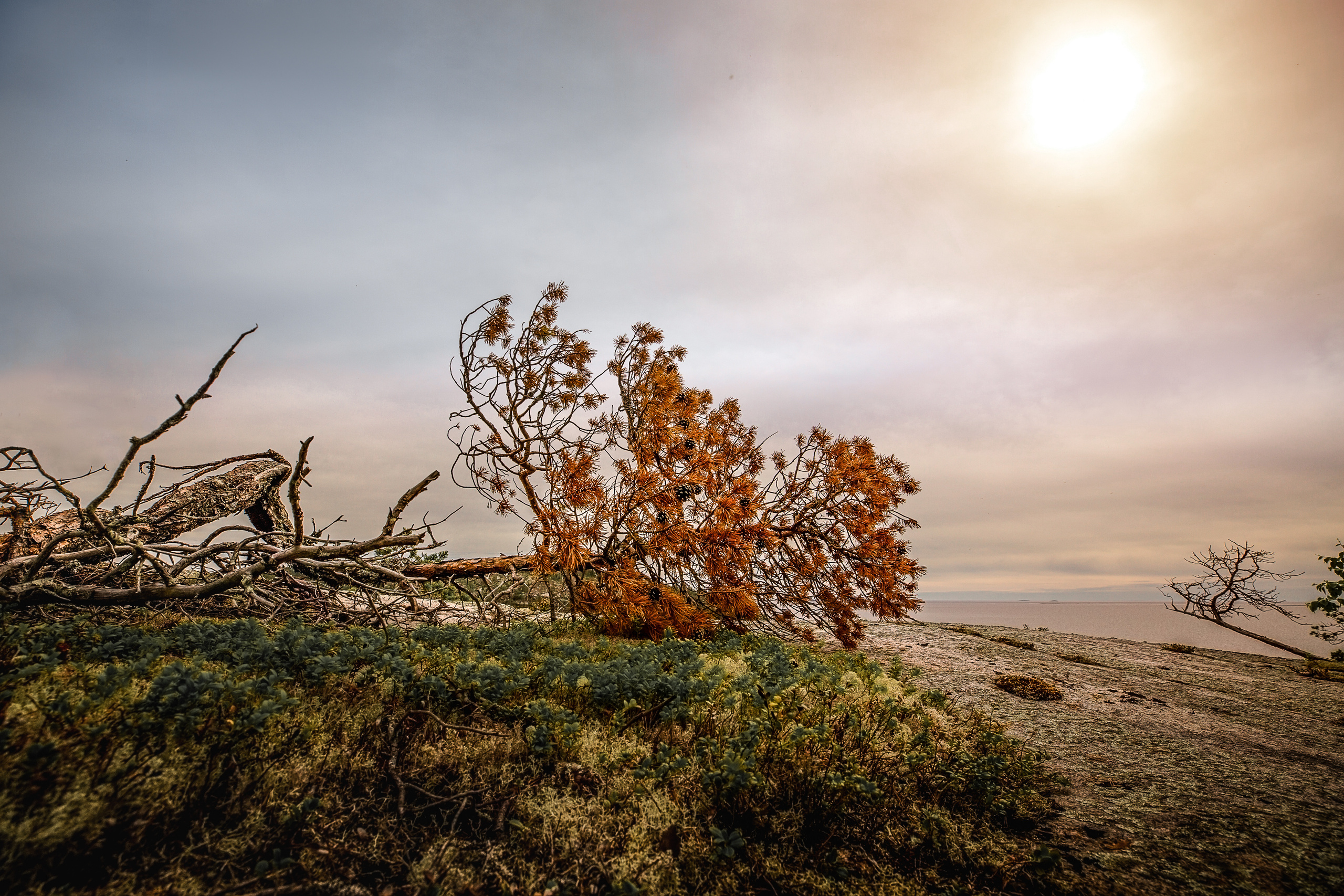 Остров Коткано́. Фотограф — путешественник Светлана Романовская