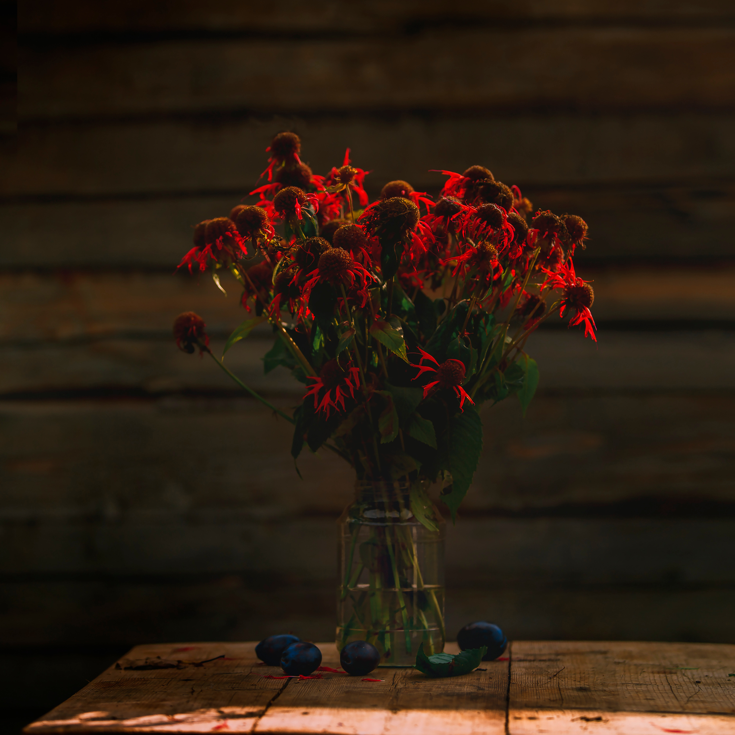 Д. Тарасонаволоцкая, Устьянский р-он, Архангельская область. Фотограф — путешественник Светлана Романовская