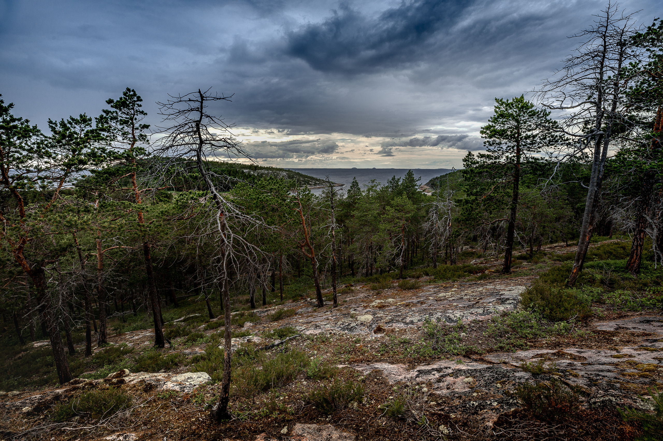 Остров Коткано́. Фотограф — путешественник Светлана Романовская