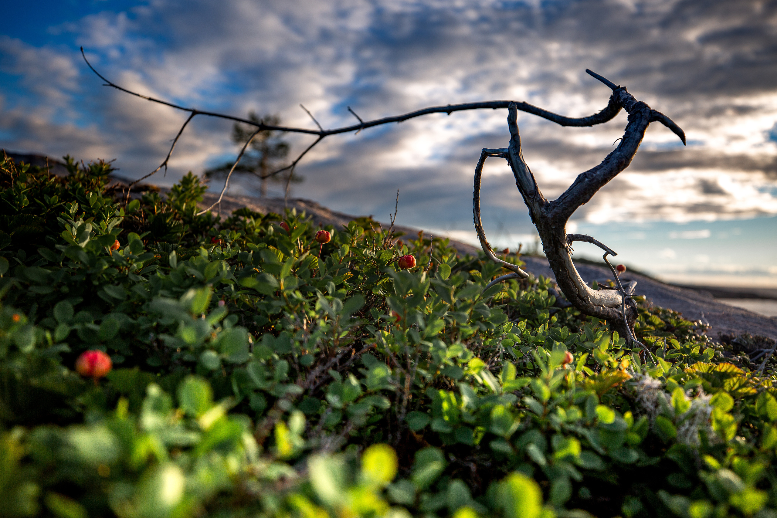 Остров Коткано́. Фотограф — путешественник Светлана Романовская