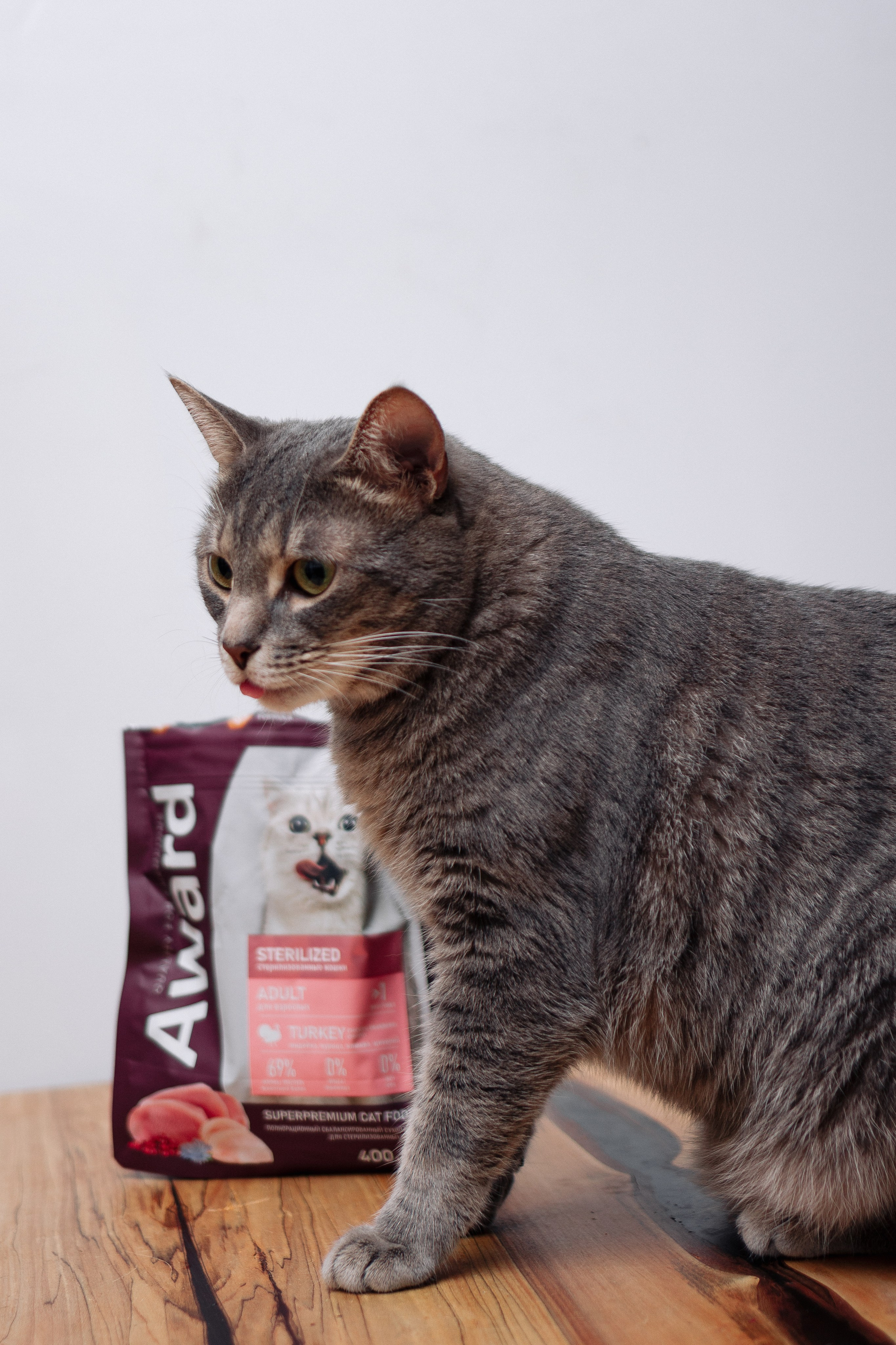 Благотворительная съемка животных. Предметный фотограф в Москве Дарья Радькович