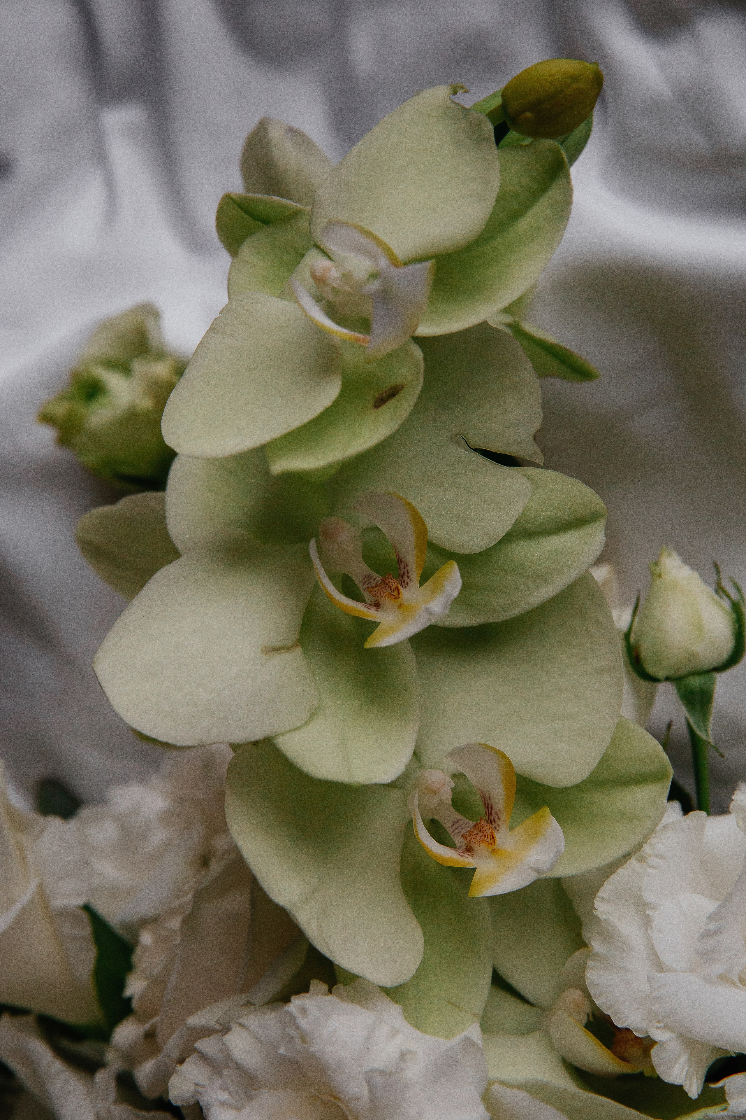 MARIA & LEV. Свадебный фотограф | Екатеринбург | Сочи | Артем Шестаков