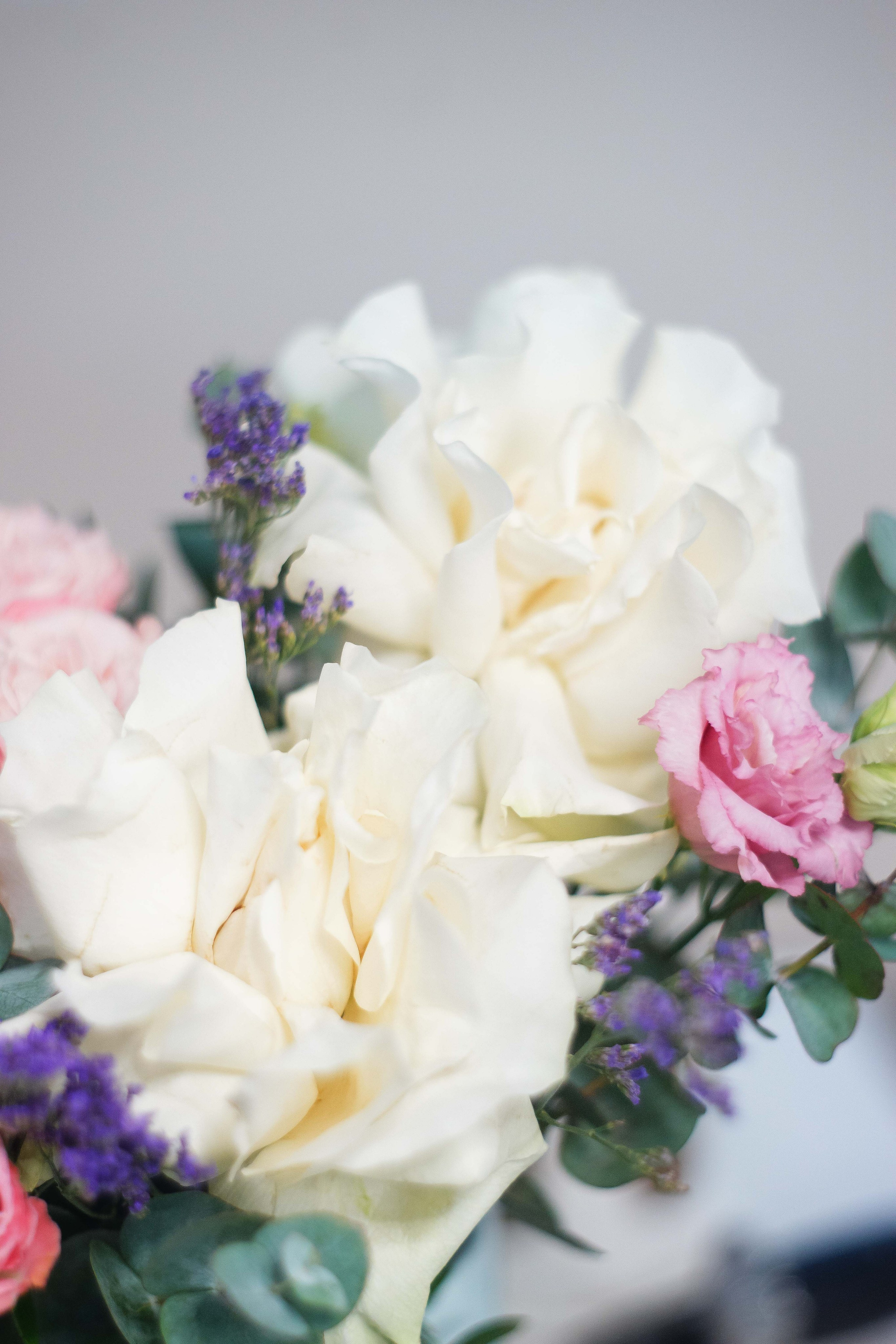 Презентация Forise. Сайт фотографа Нади Новиковой