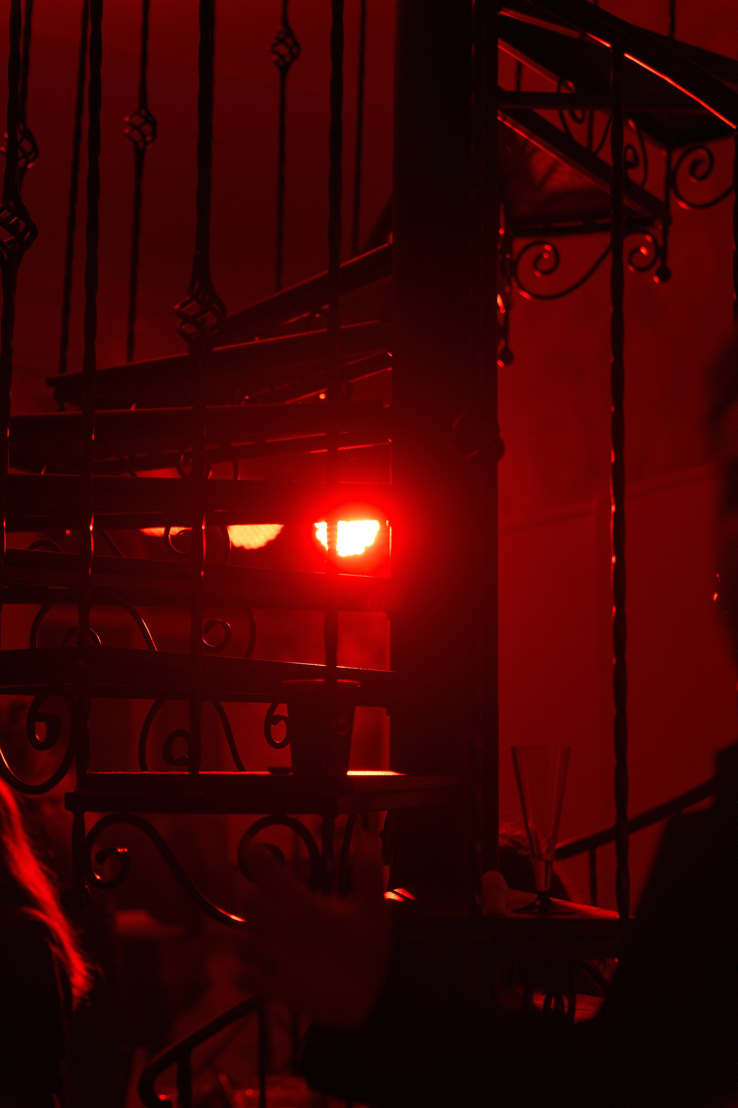 Вечеринка фотографов. Чумаков Алексей Фотограф|Видеограф свадебные, индивидуальные, семейные, репортаж