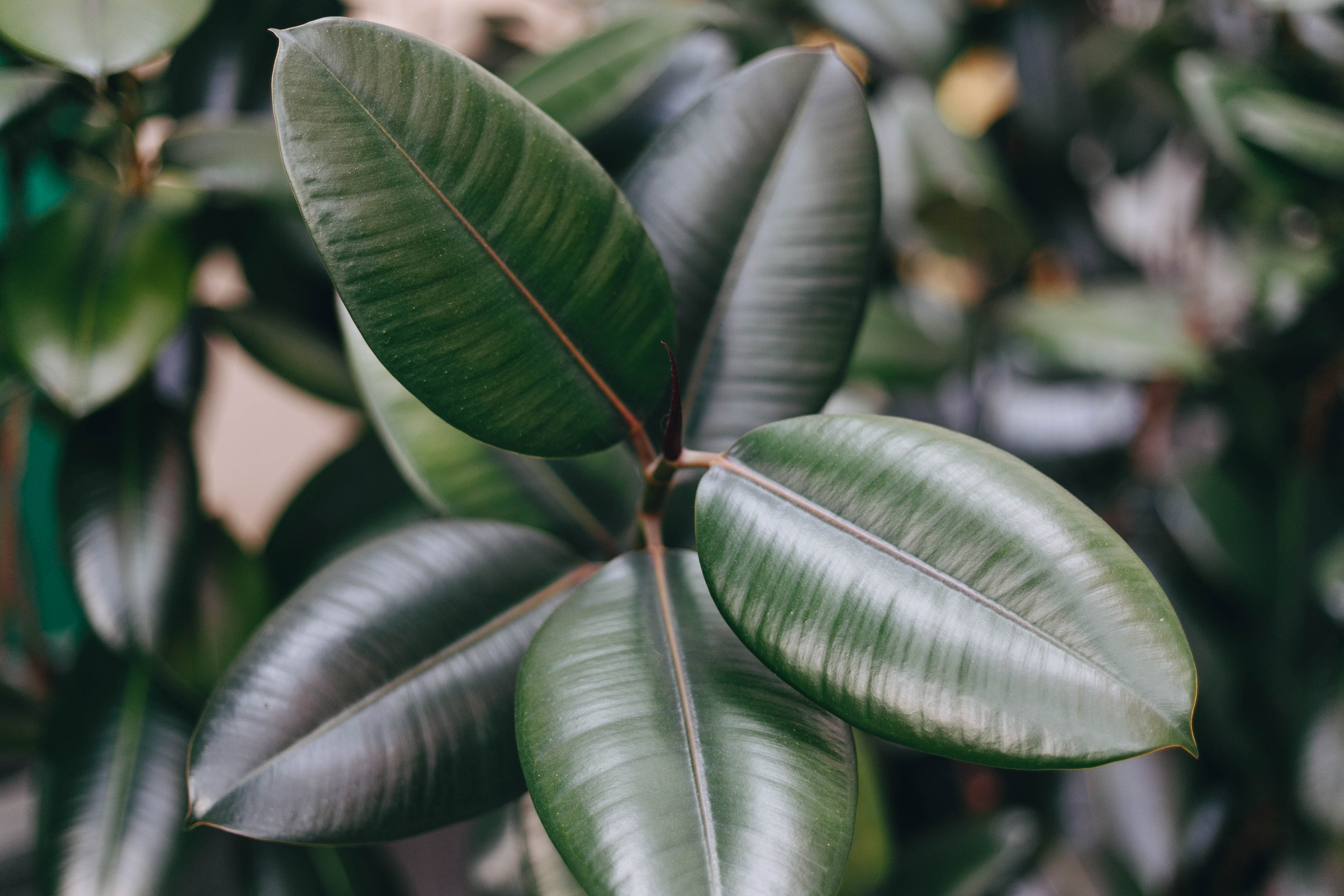Наталья. Семейный и персональный фотограф в Ростове-на-Дону