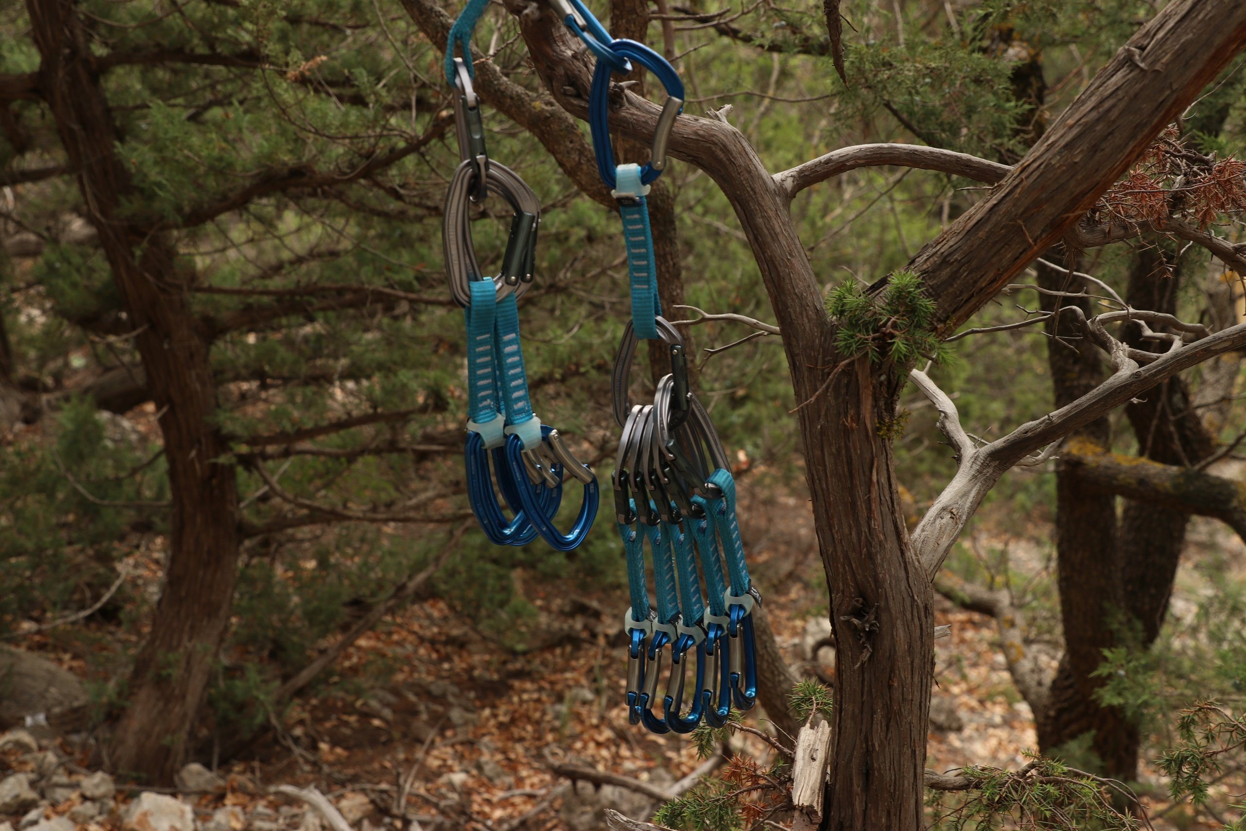 Крым. ЮБК (Гурзуф, Судак и их окрестности). Ноябрь 2023. Путешественник-фотограф из Санкт-Петербурга Татьяна Свистулина