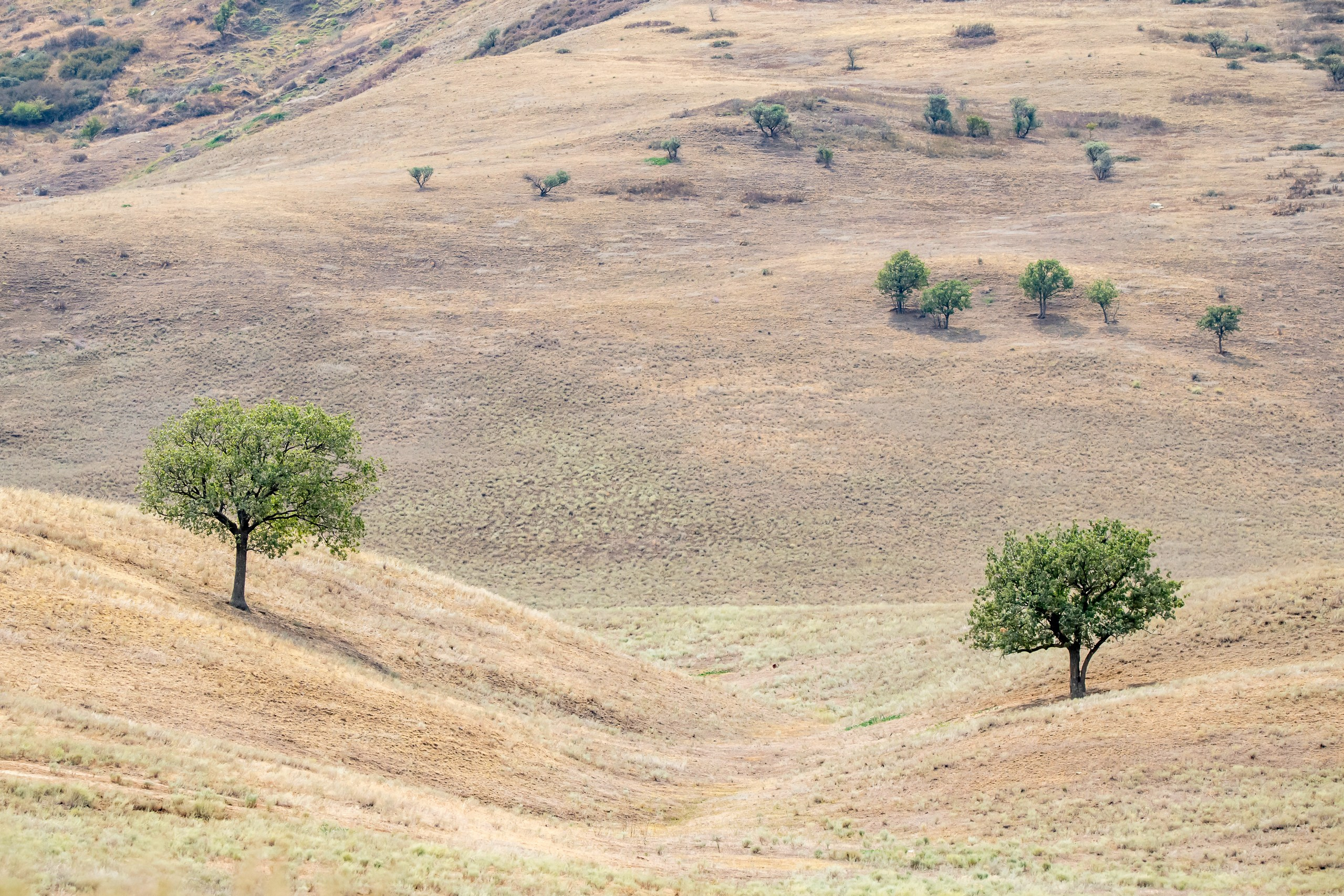 Природа Дагестана, сентябрь 2024. Foto-Zuev фотография как искусство