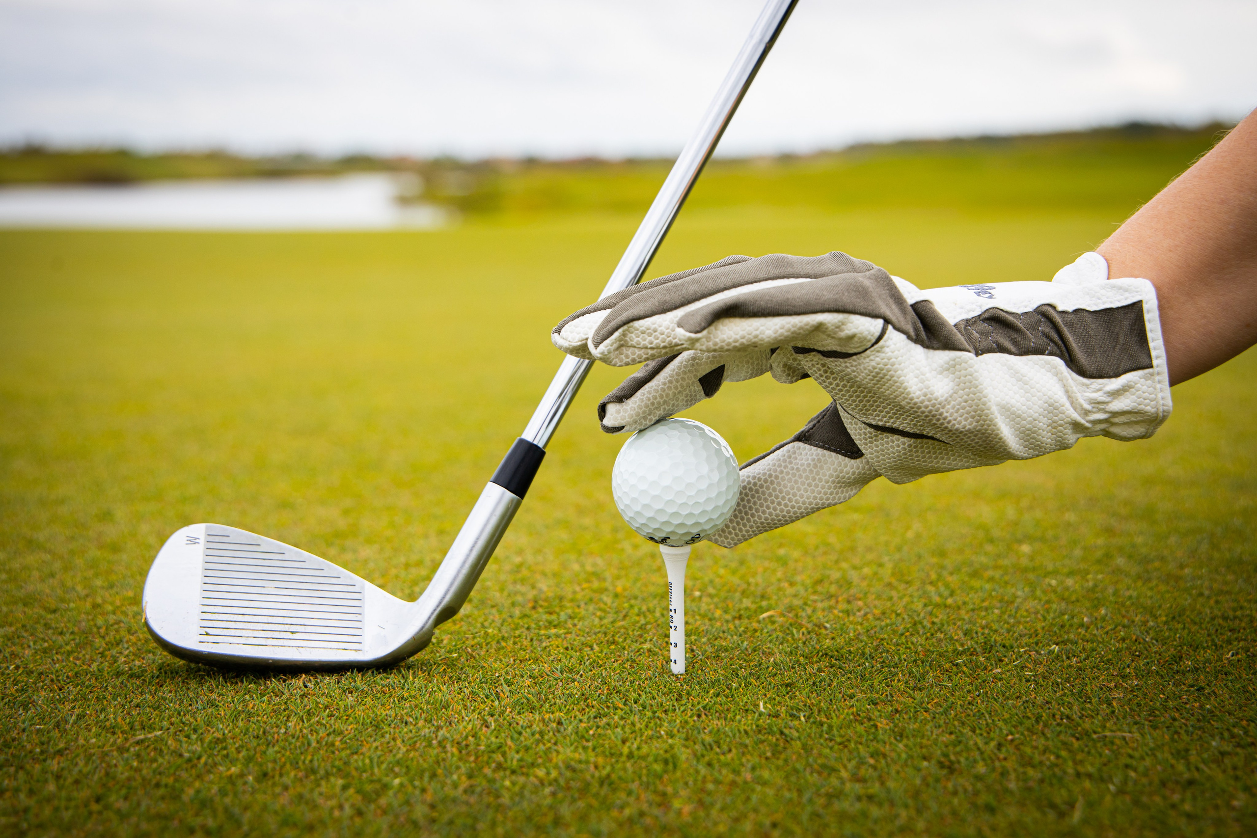 Репортажная съёмка. Профессиональный фотограф Светлана Протасова