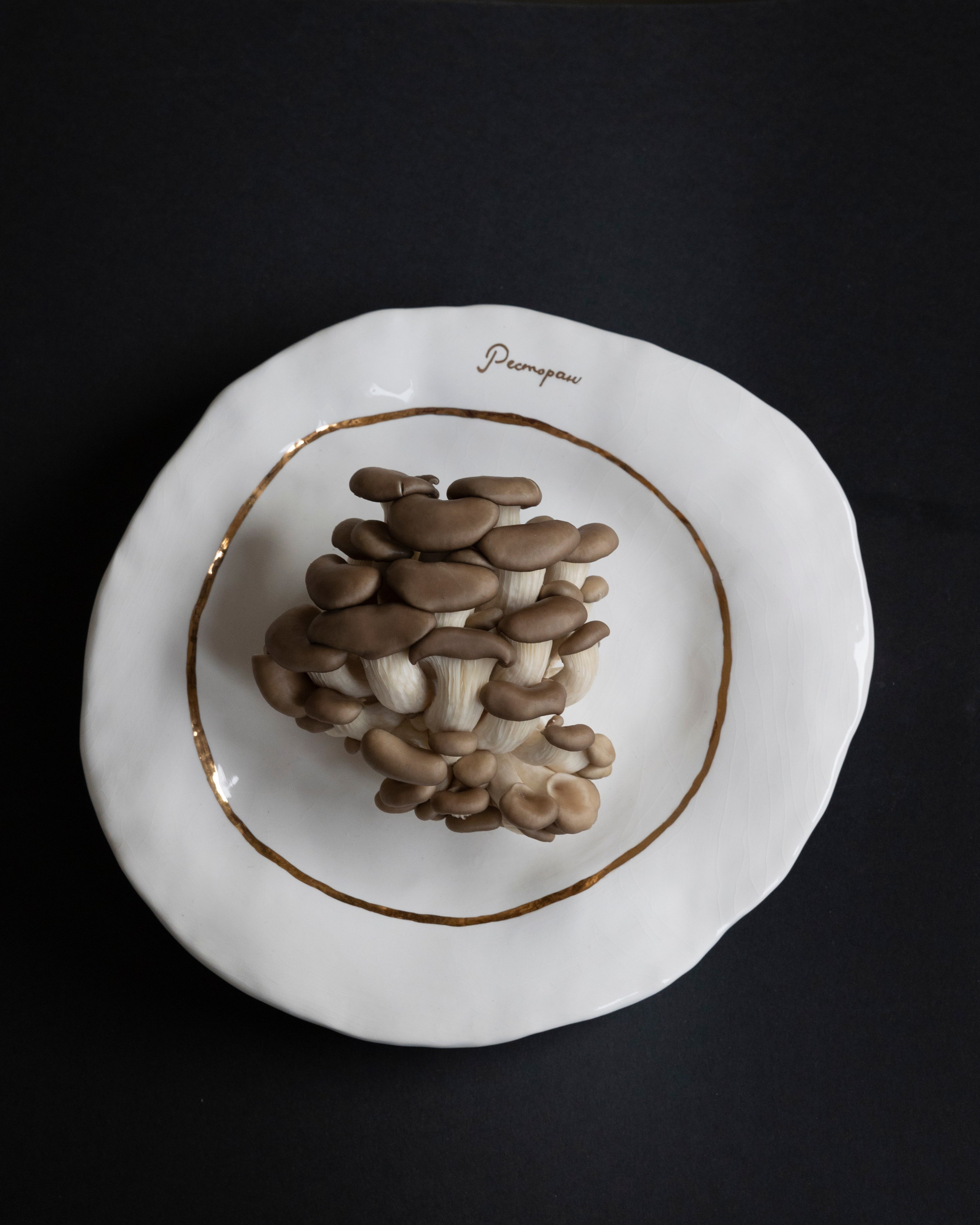 Art prints. Фотограф алина стерхова, алина стерхова фотограф, фотограф москва