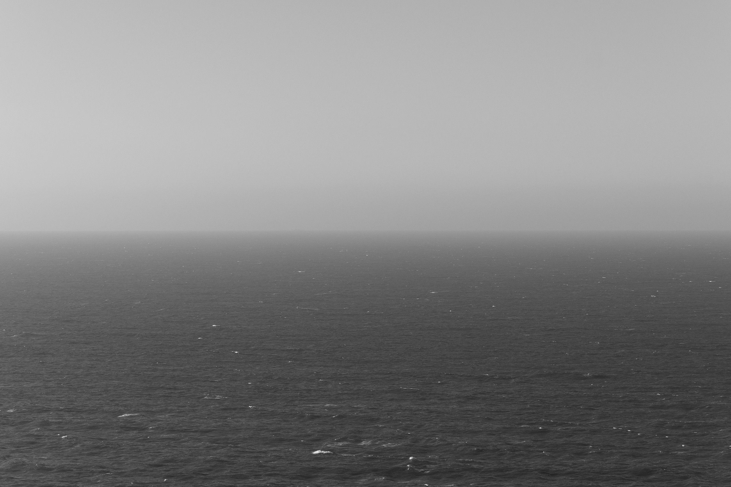 Art prints. Фотограф алина стерхова, алина стерхова фотограф, фотограф москва