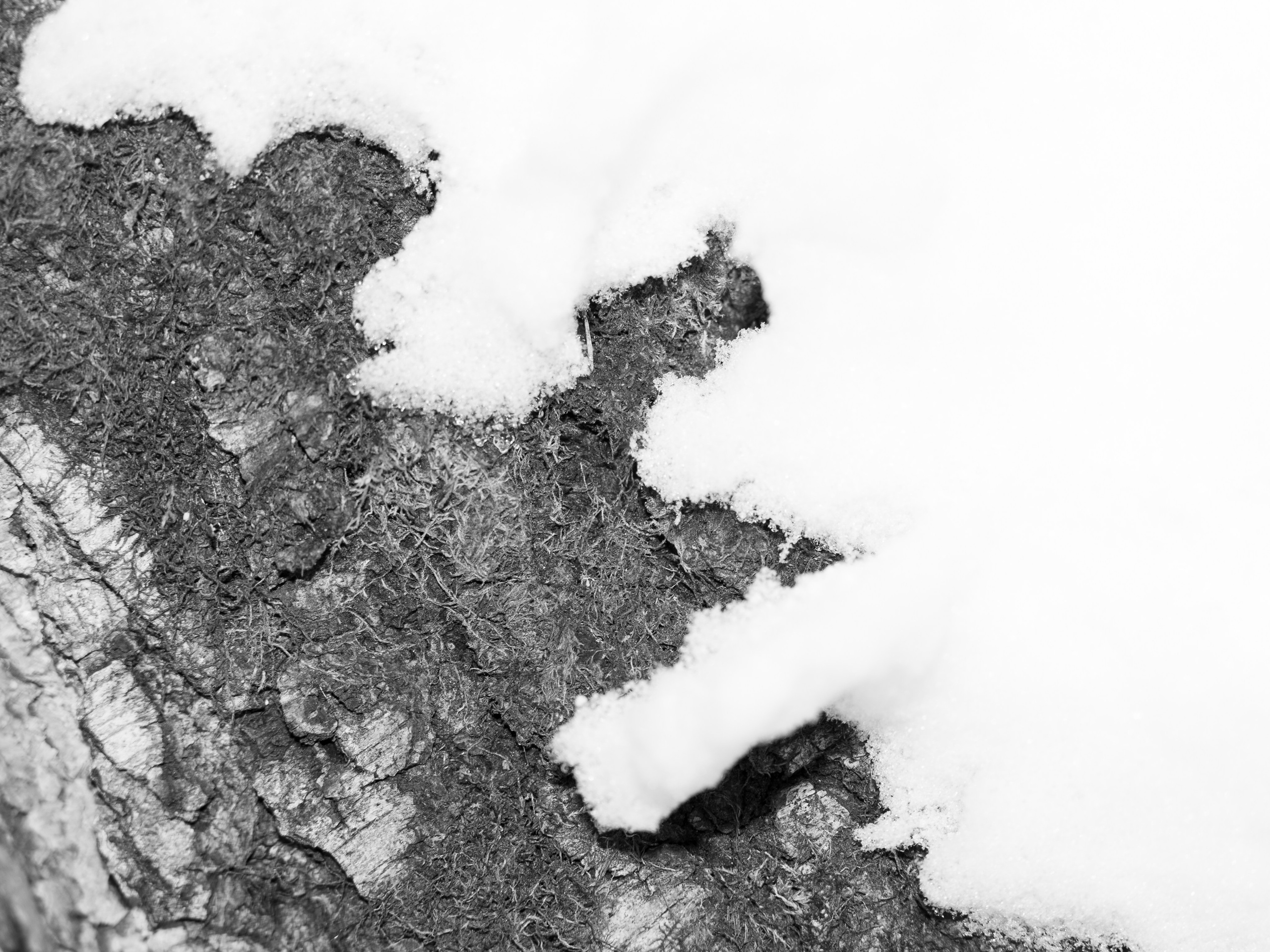 Art prints. Фотограф алина стерхова, алина стерхова фотограф, фотограф москва