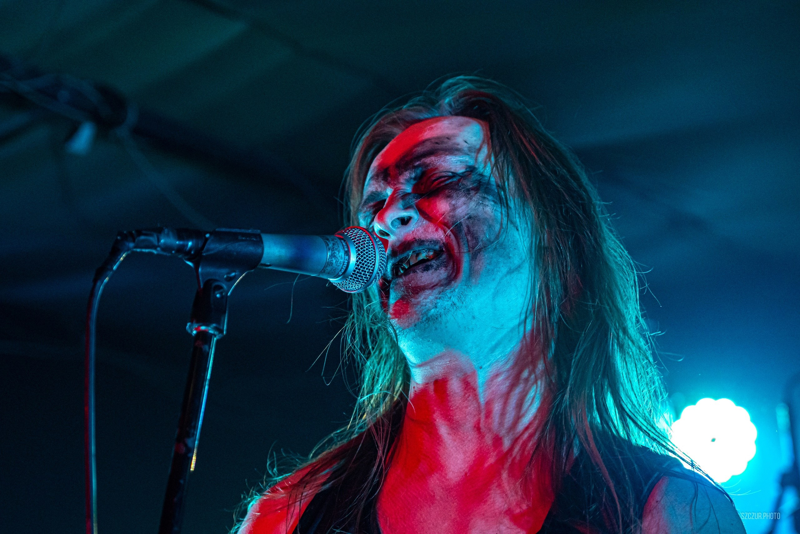 Волчьи Трупы в Городе 6.01.25. Szczur photo