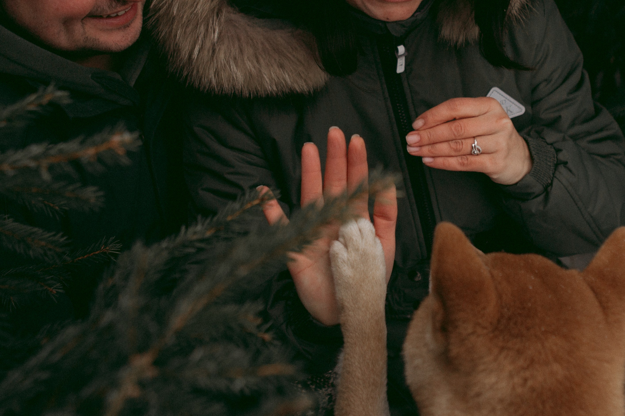 Katya, Dima, Rokki. Portrait, family and pet photographer in Cyprus, Ksenia Bourdelle