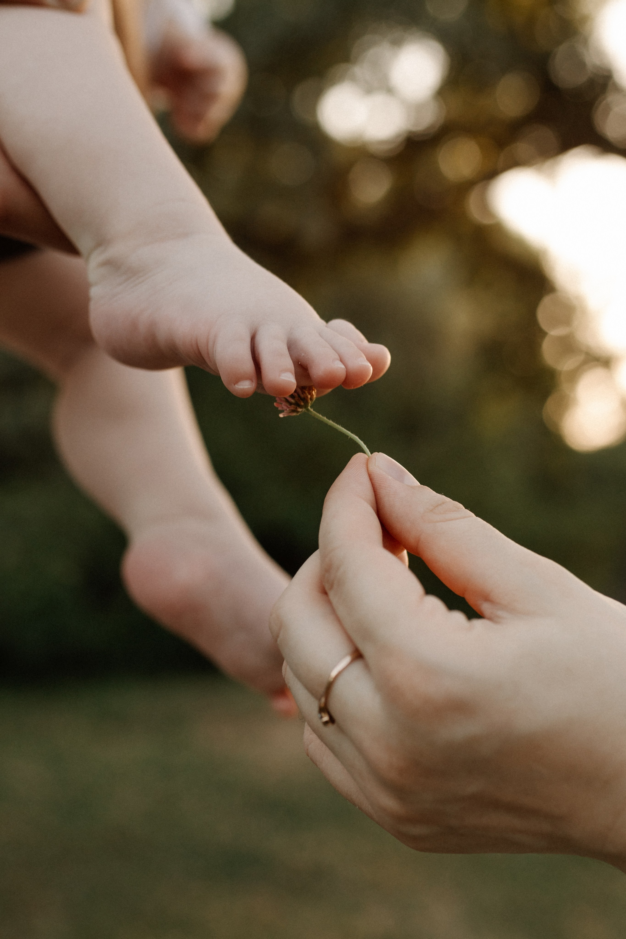 Оксана, Лёша, Рома и Коля. Семейный фотограф в Краснодаре Яна Морева