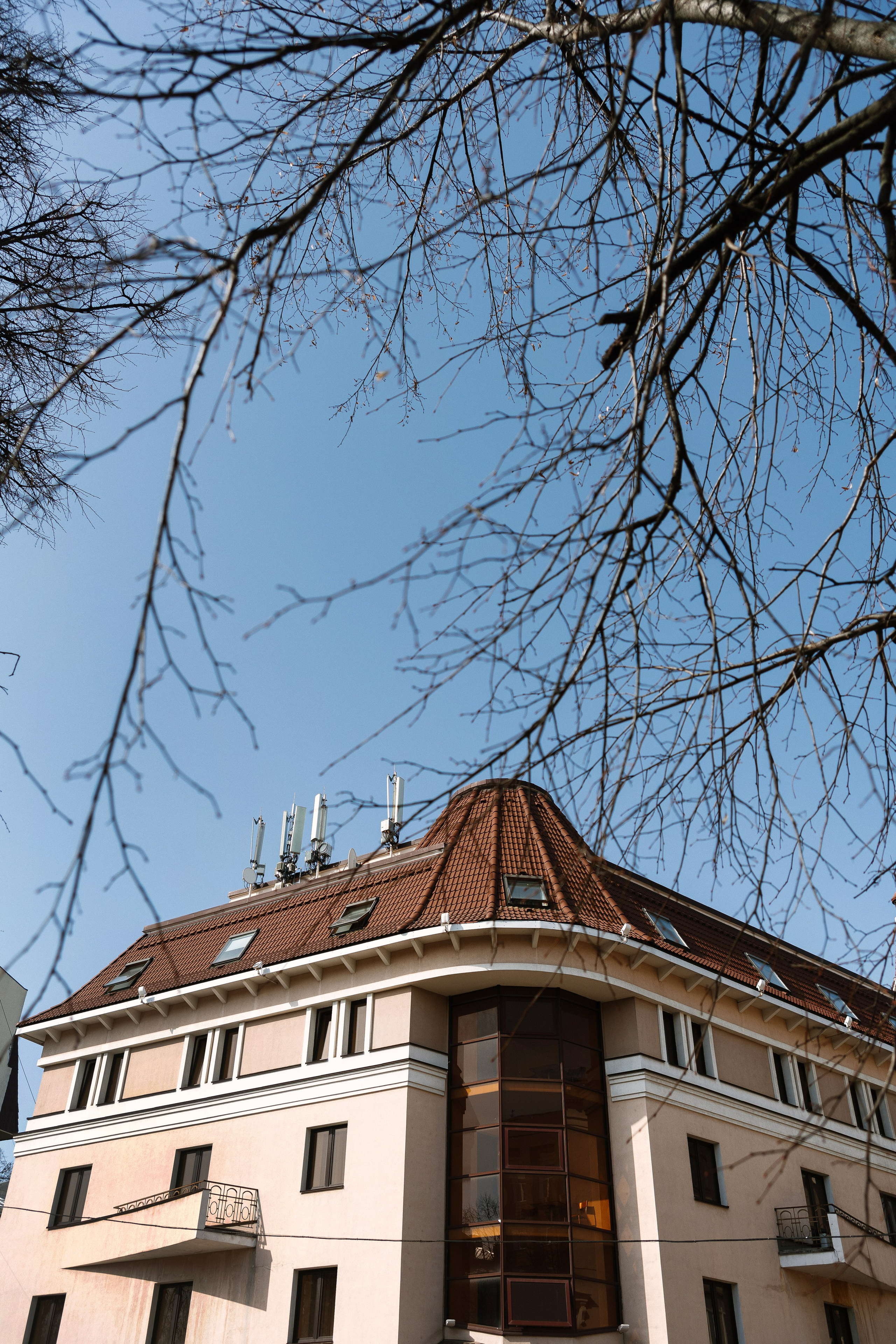 Алексей и Ксения. Я Ира и я фотографирую свадьбы более 10 лет