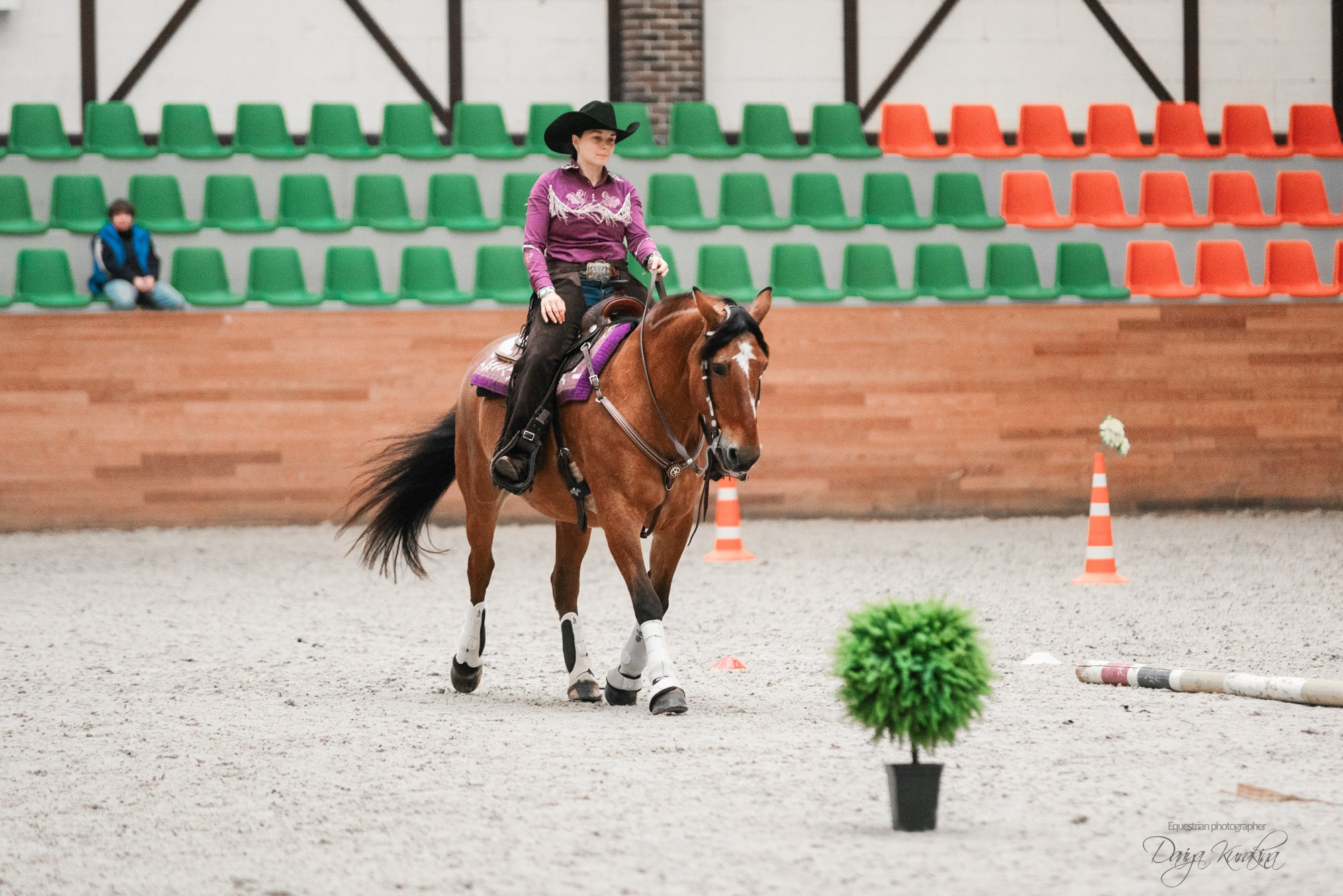 8-я международная выставка Конная Россия. Конный фотограф Куракина Дарья • Фотосессии с лошадьми