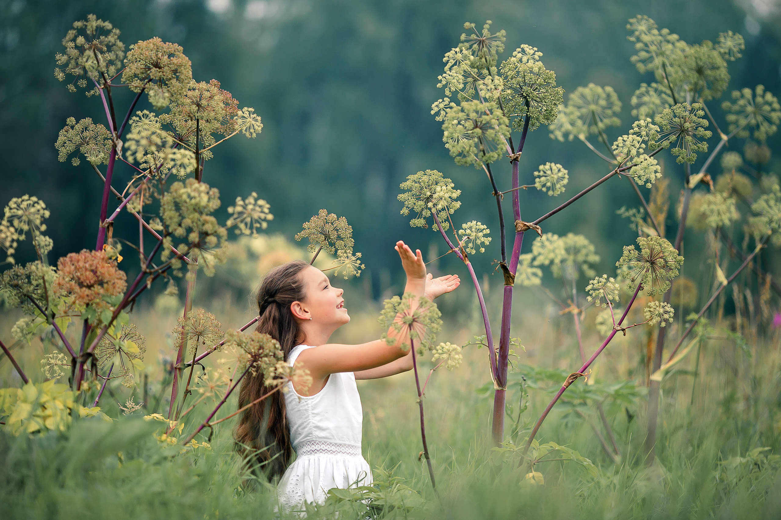Детский и семейный фотограф в Красноярске Елена Коровкина