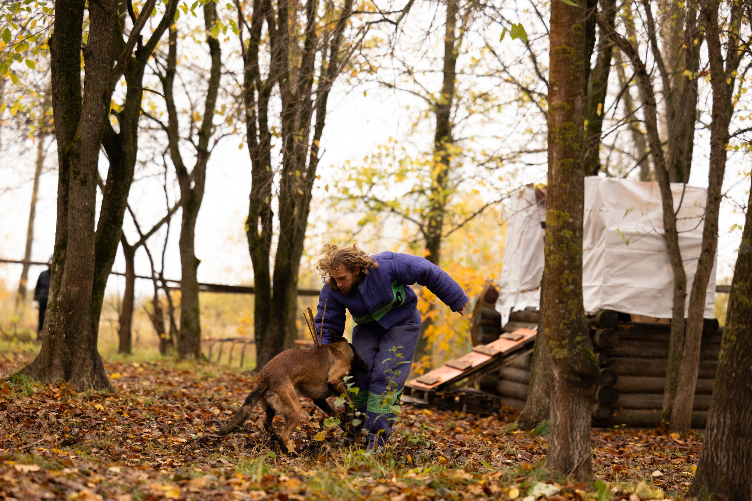Соревнования по Мондьорингу г. Вологда. Фотограф-анималист Анна Маринич