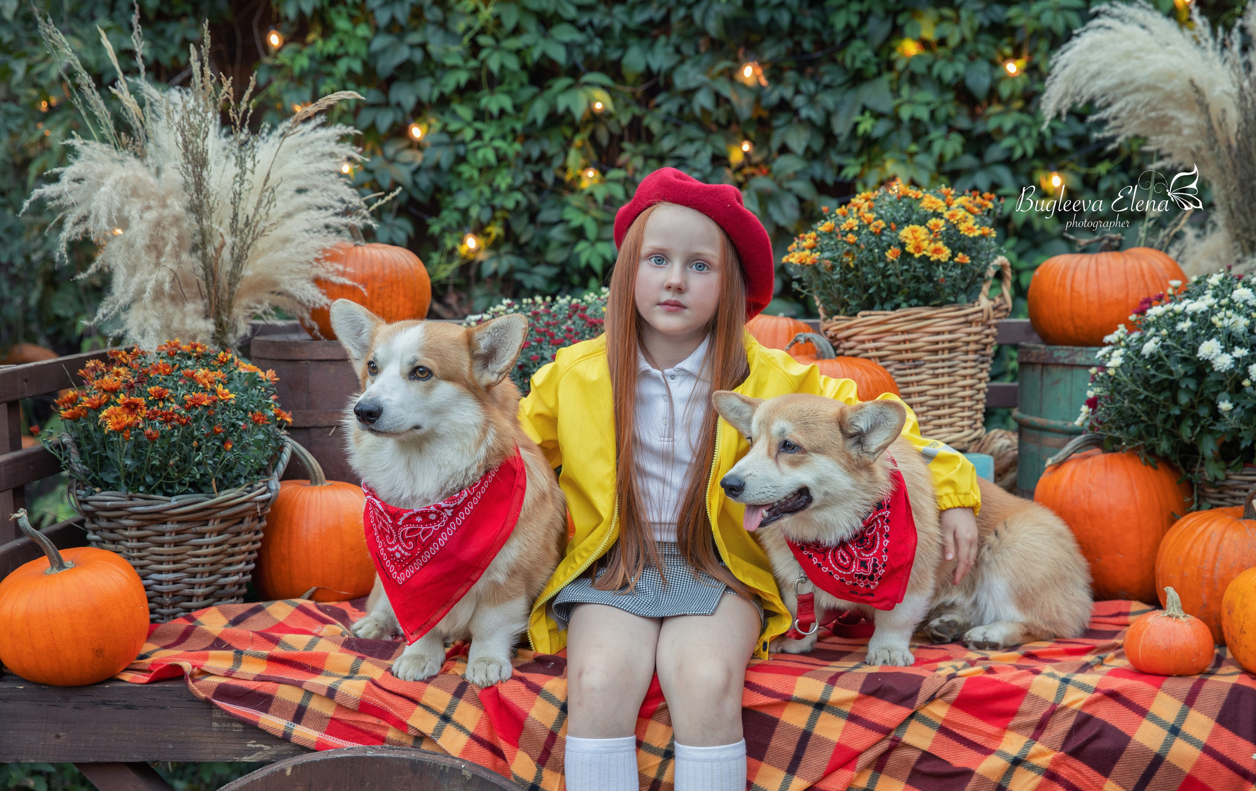 Осенние съемки