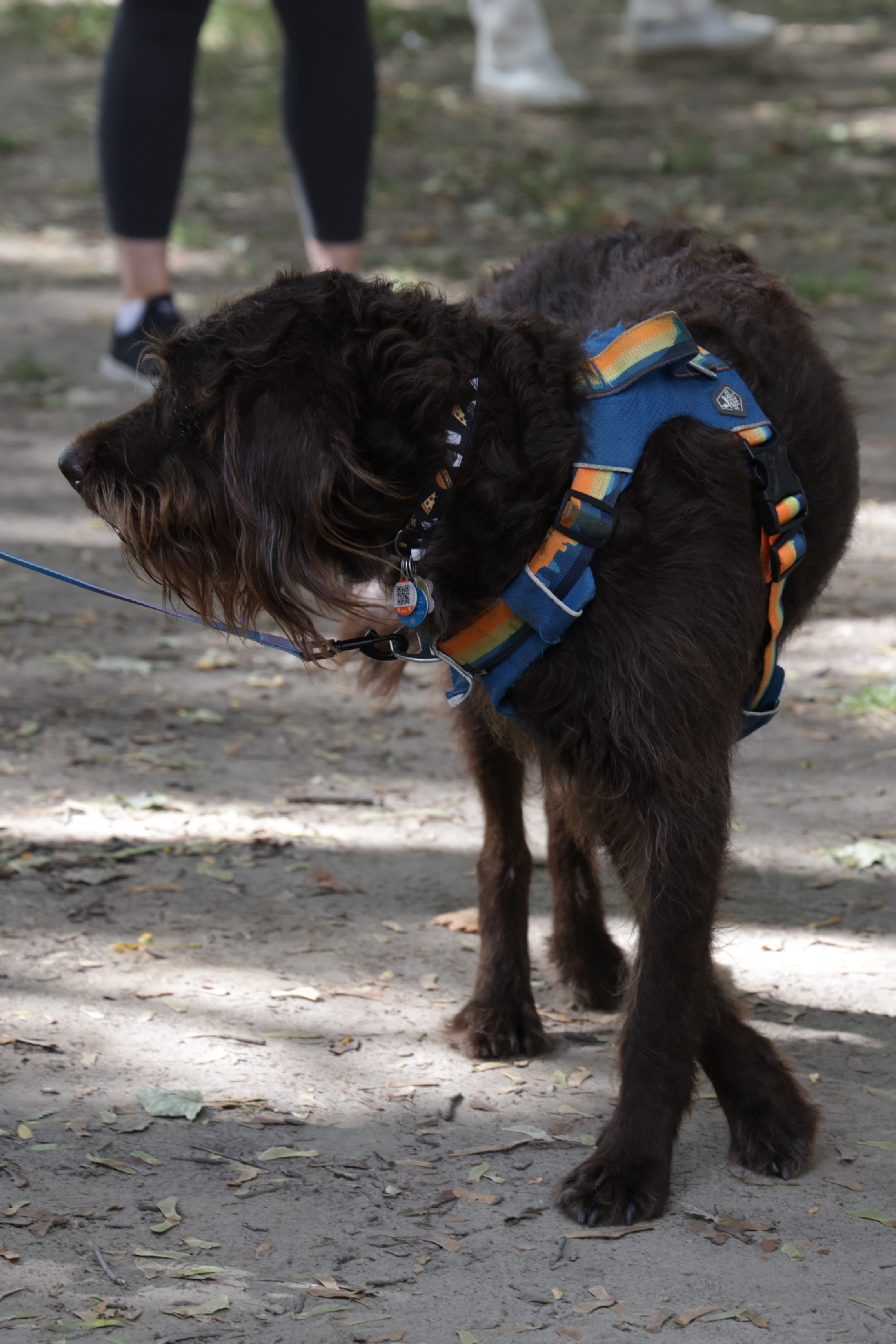 Queen St West Art Crawl. Portrait photographer based in Toronto — Blinova Mariia