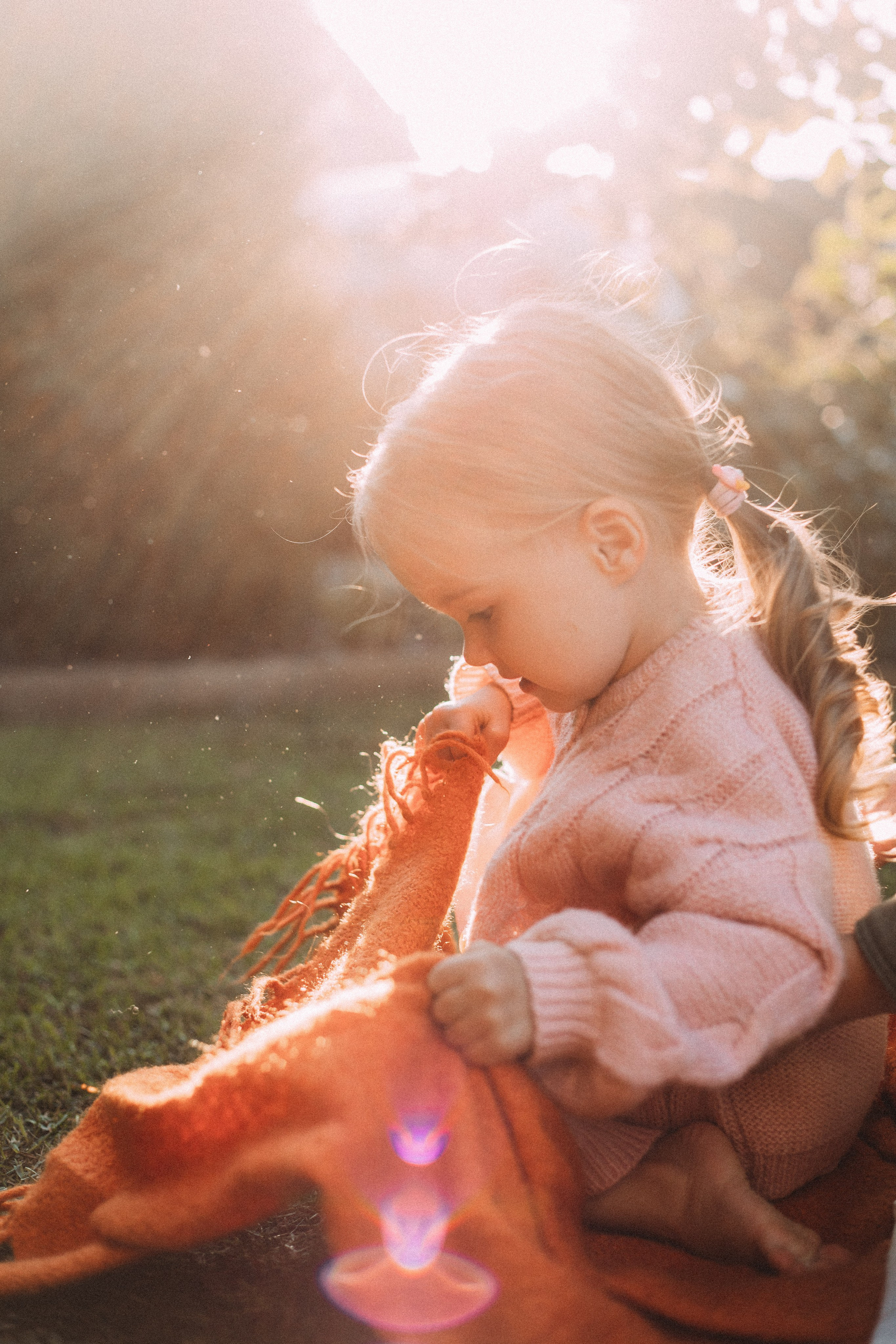 Дача. Главная